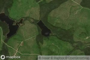 Lac de la Renoncule