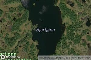 Bjortjonn