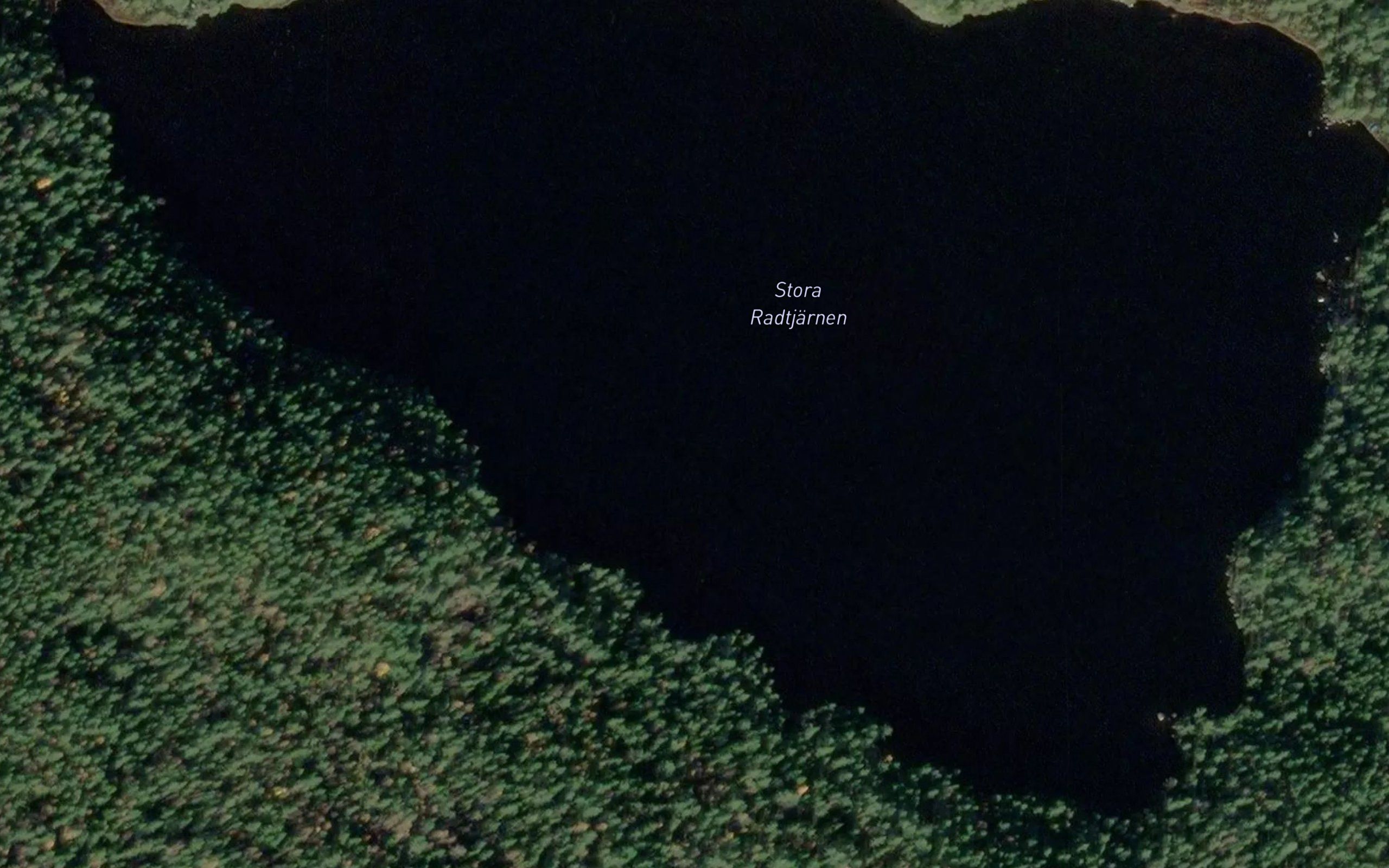 Radtjarnarna
