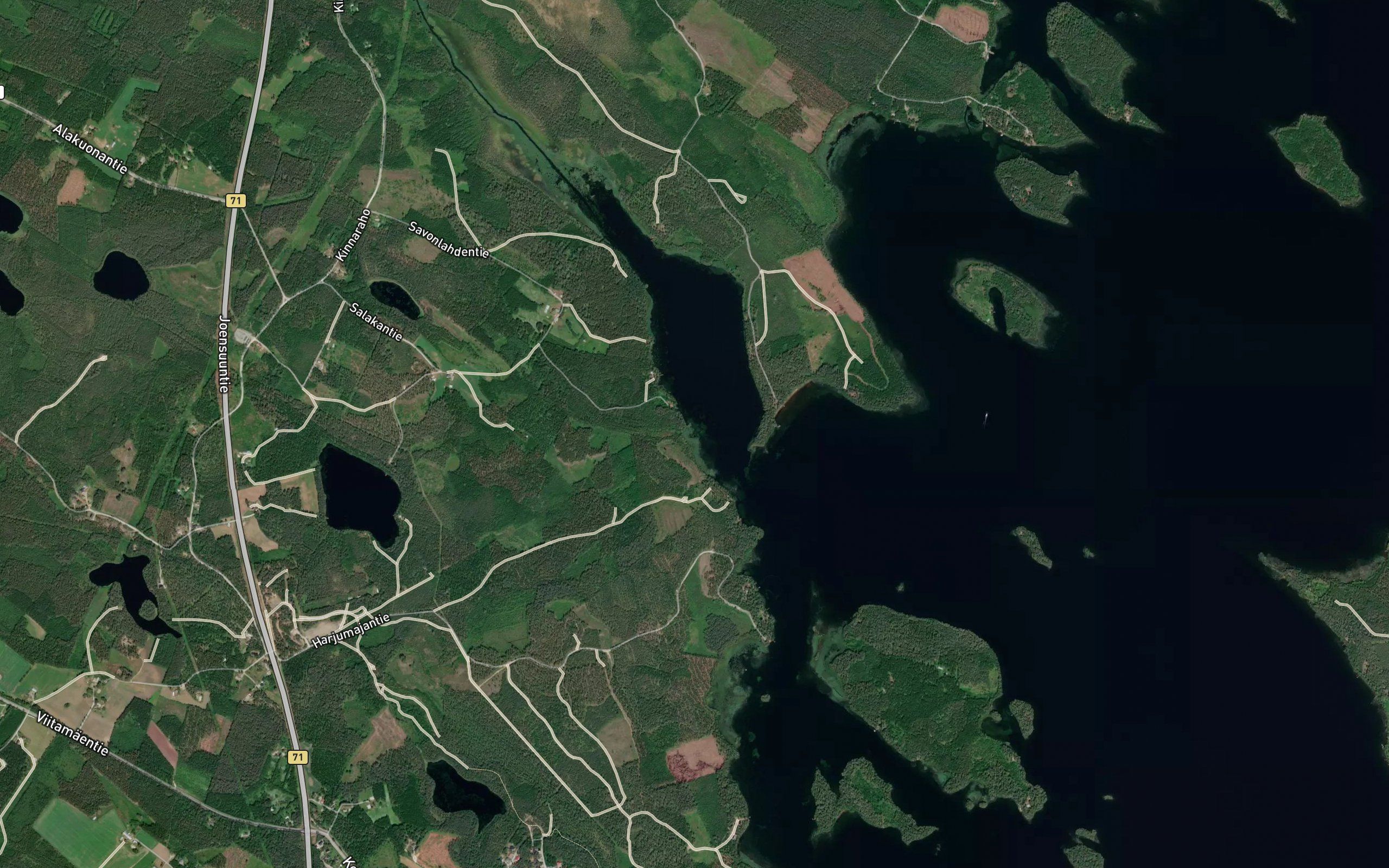 Kusoja