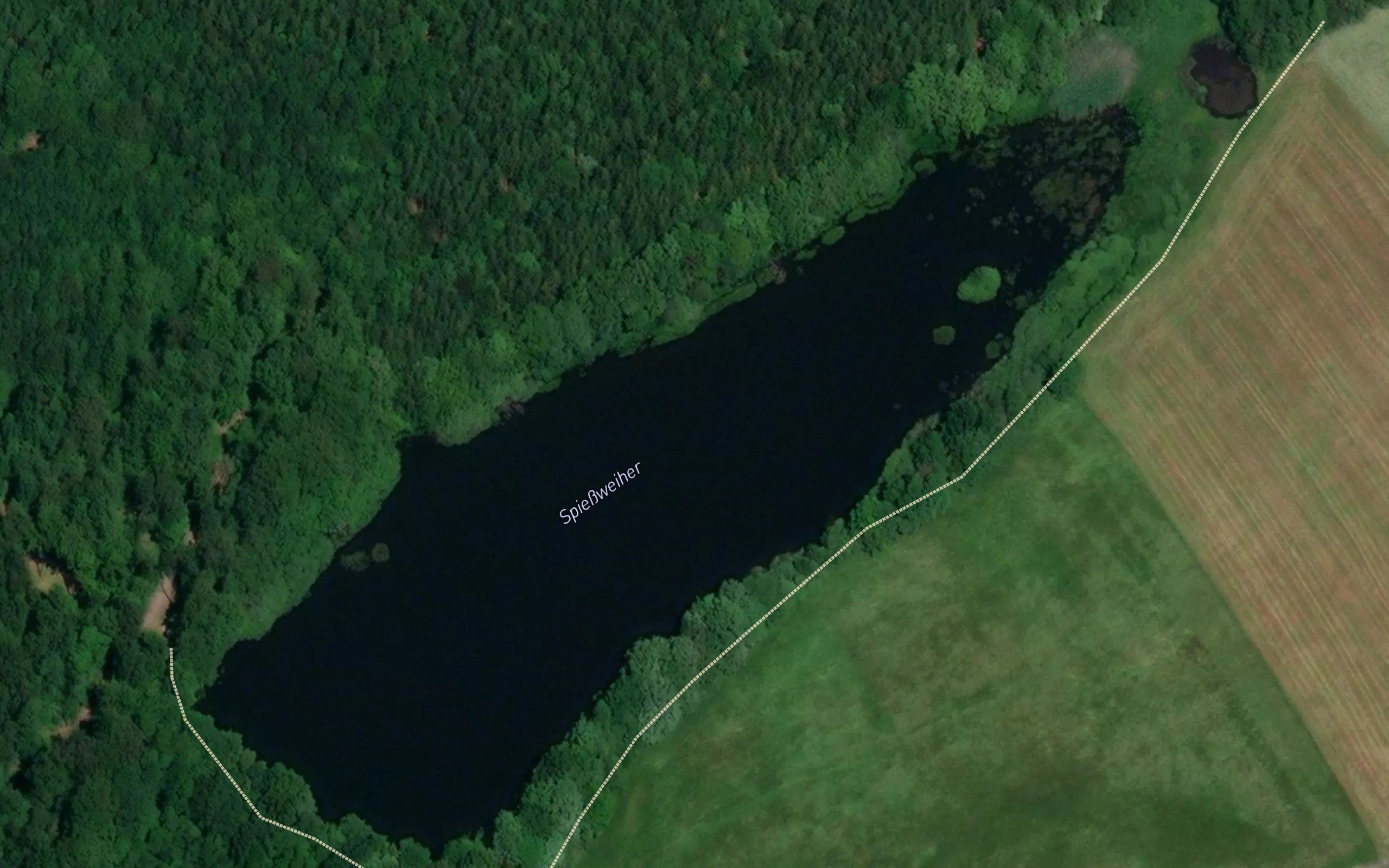Spiessweiher