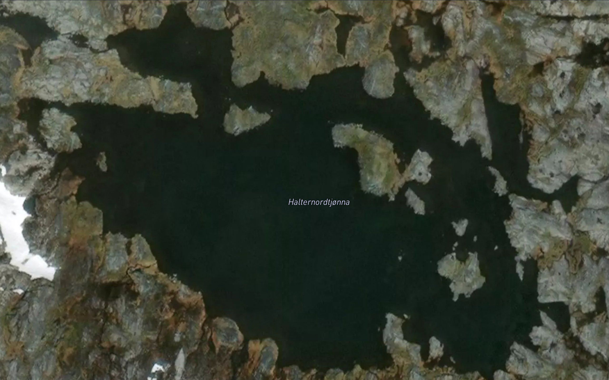 Alternordtjorna