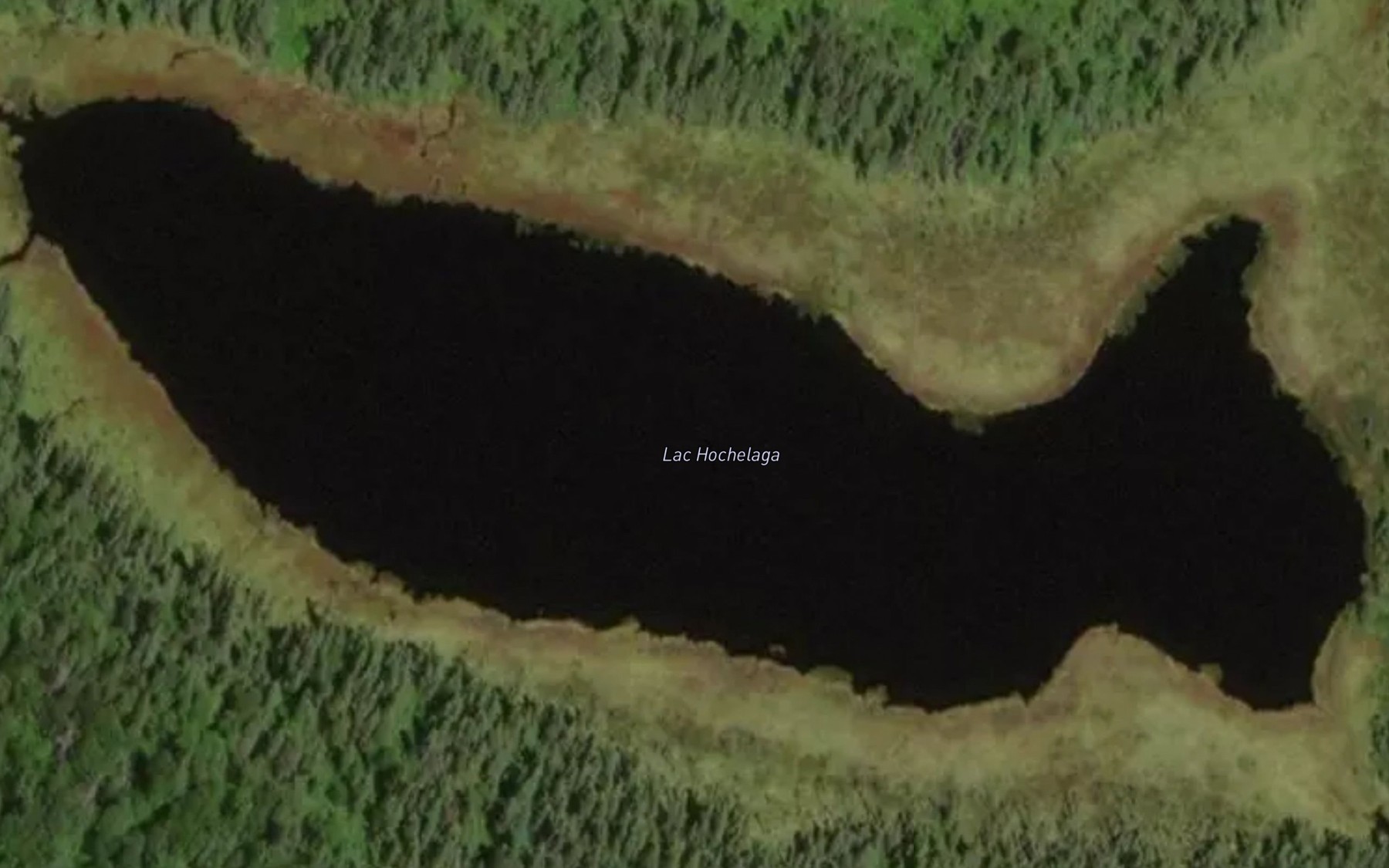 Satellite map of the Lac Hochelaga