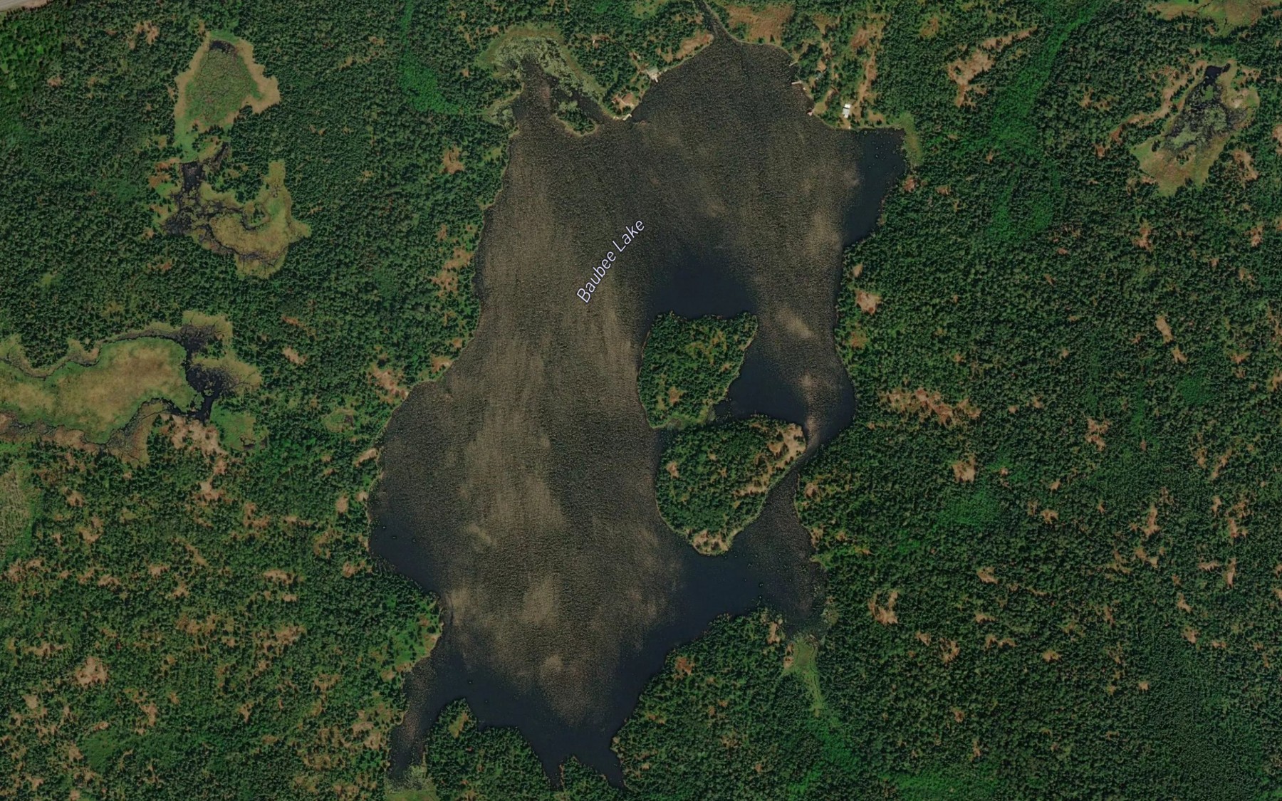 Satellite map of the Baubee Lake