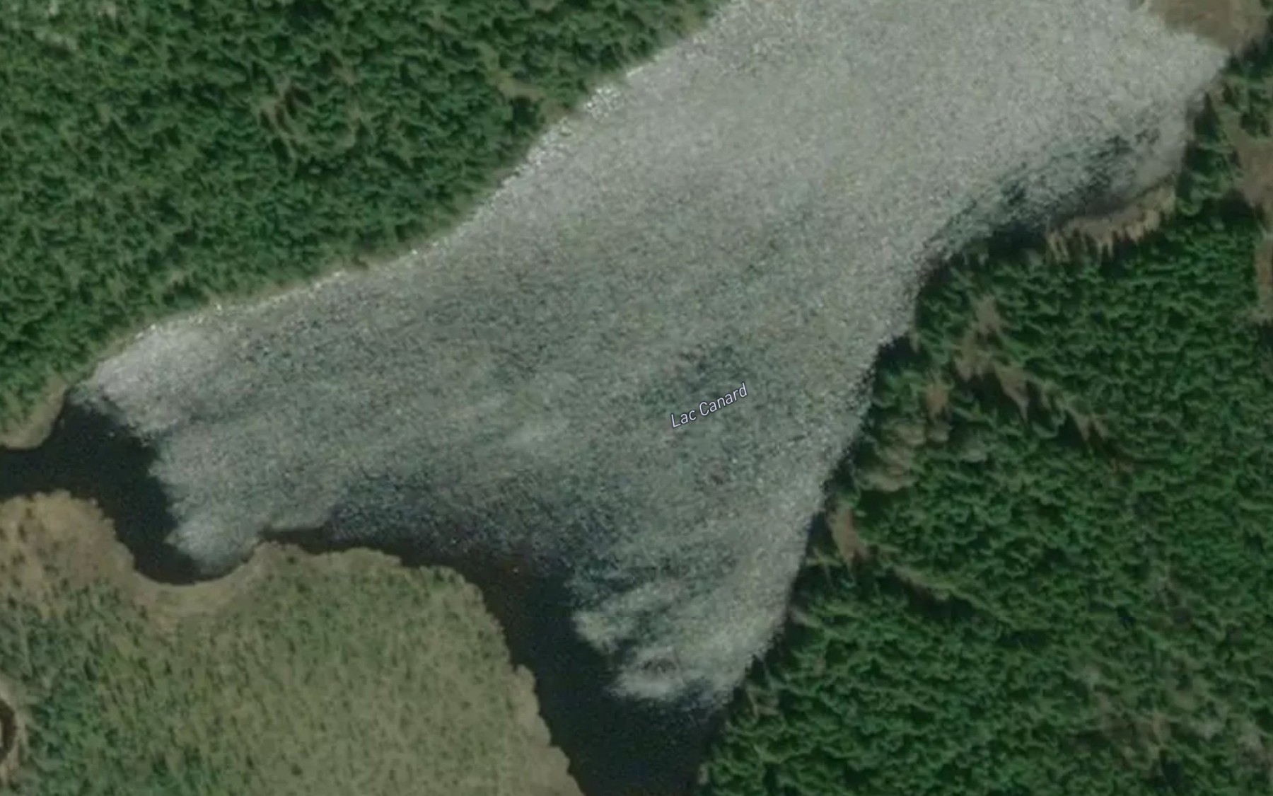 Satellite map of the Lac Canard