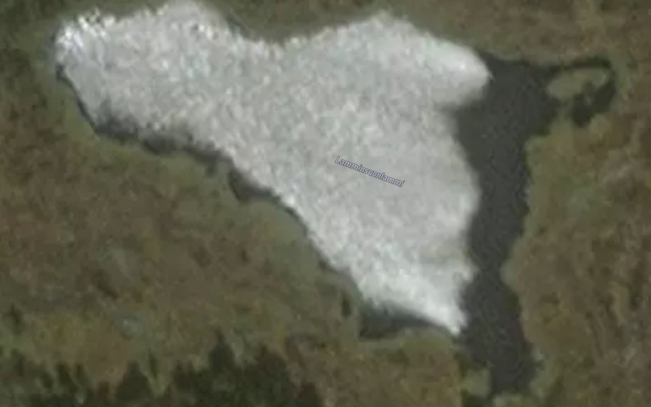 Lamminsuonlammi