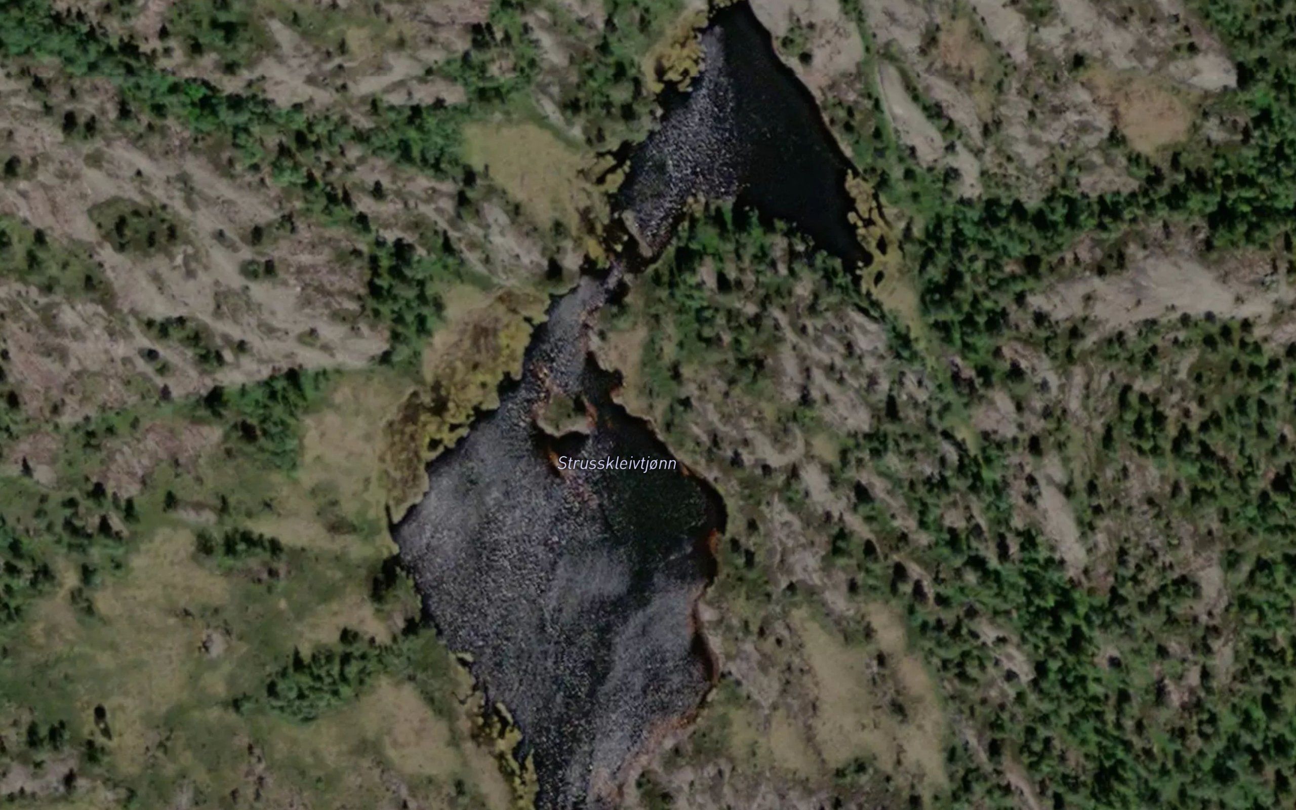Strusskleivtjorn