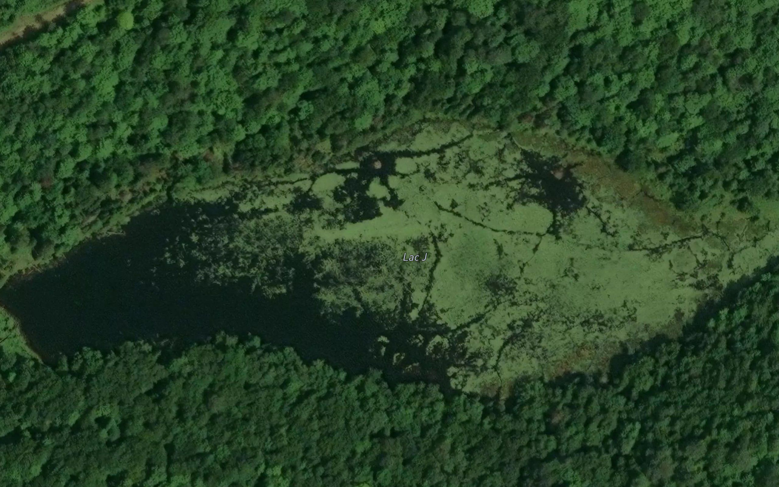 Lac J