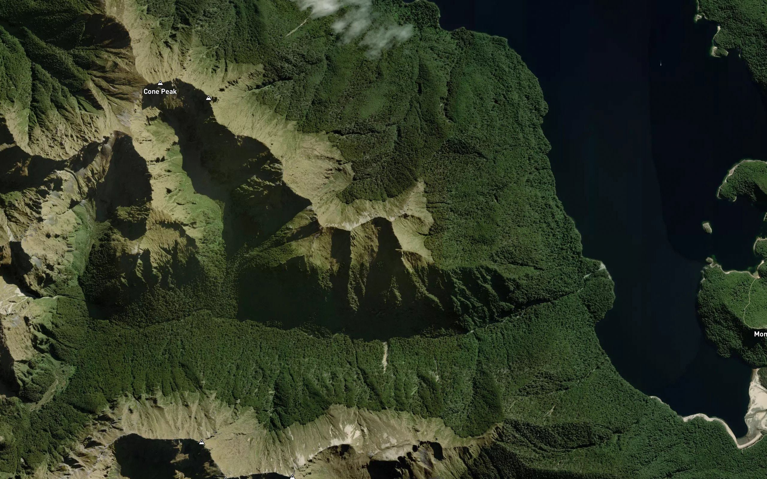 Wai-waiata Stream