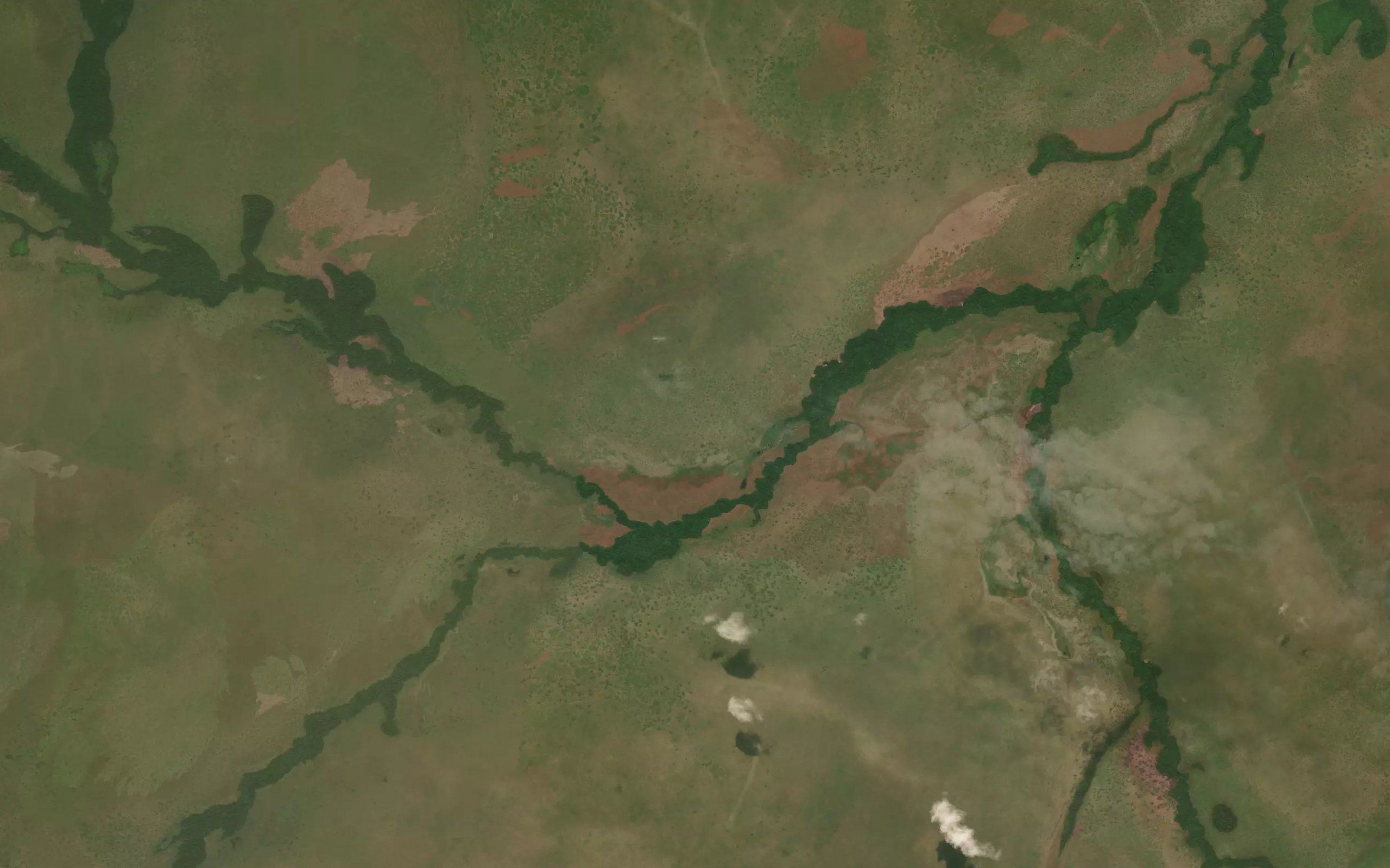 Biloua