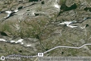 Rauskjolelvi