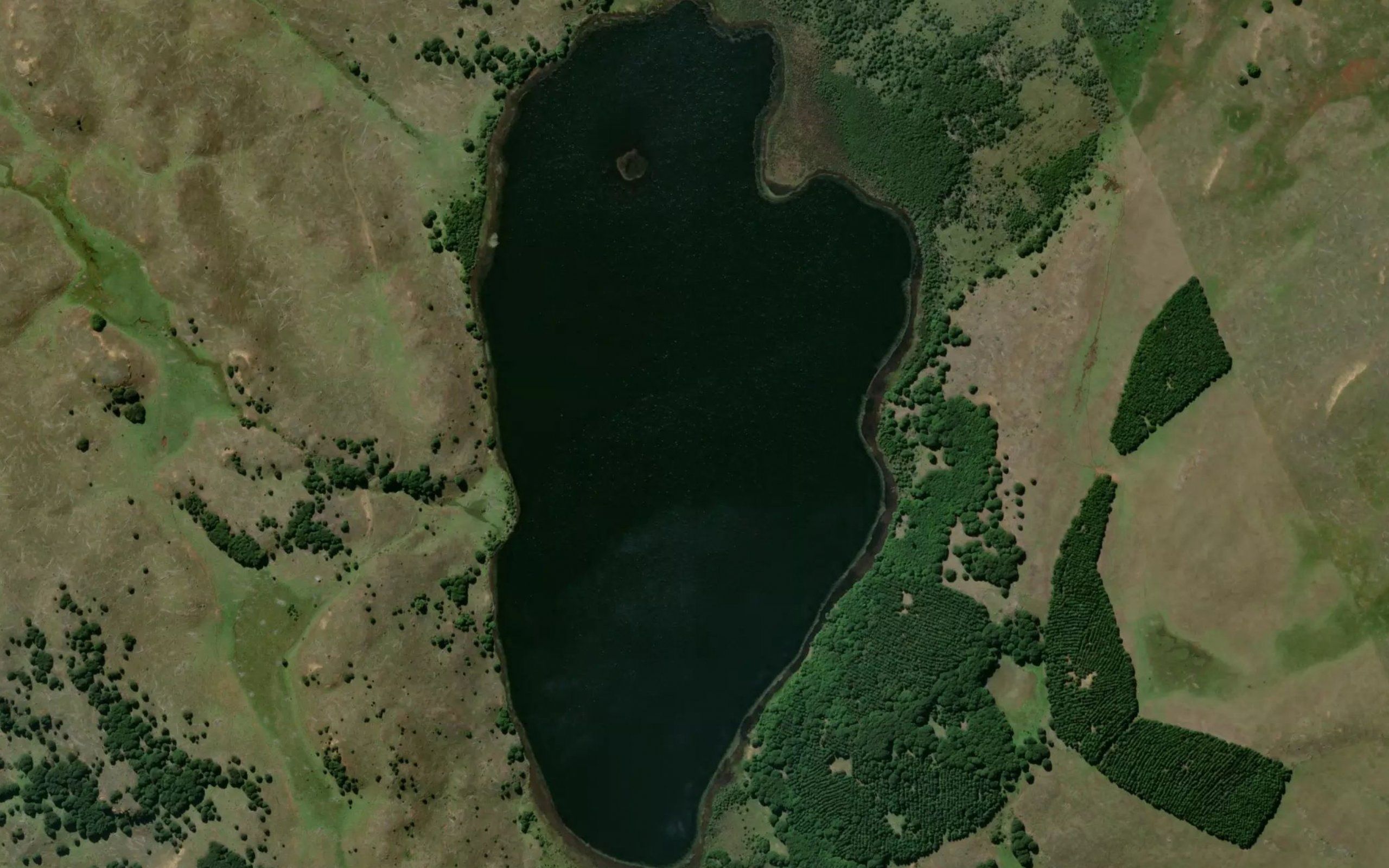 Lago Alvarado