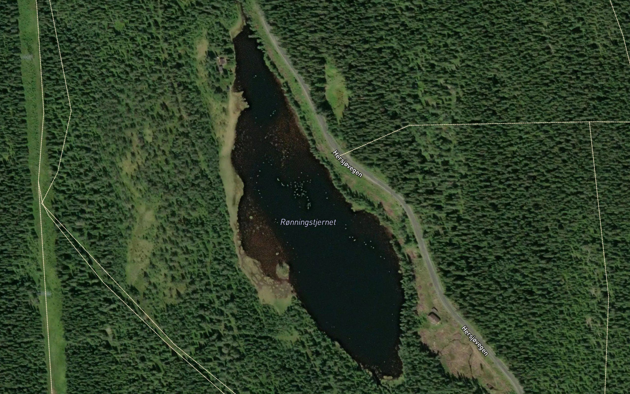 Ronningstjernet