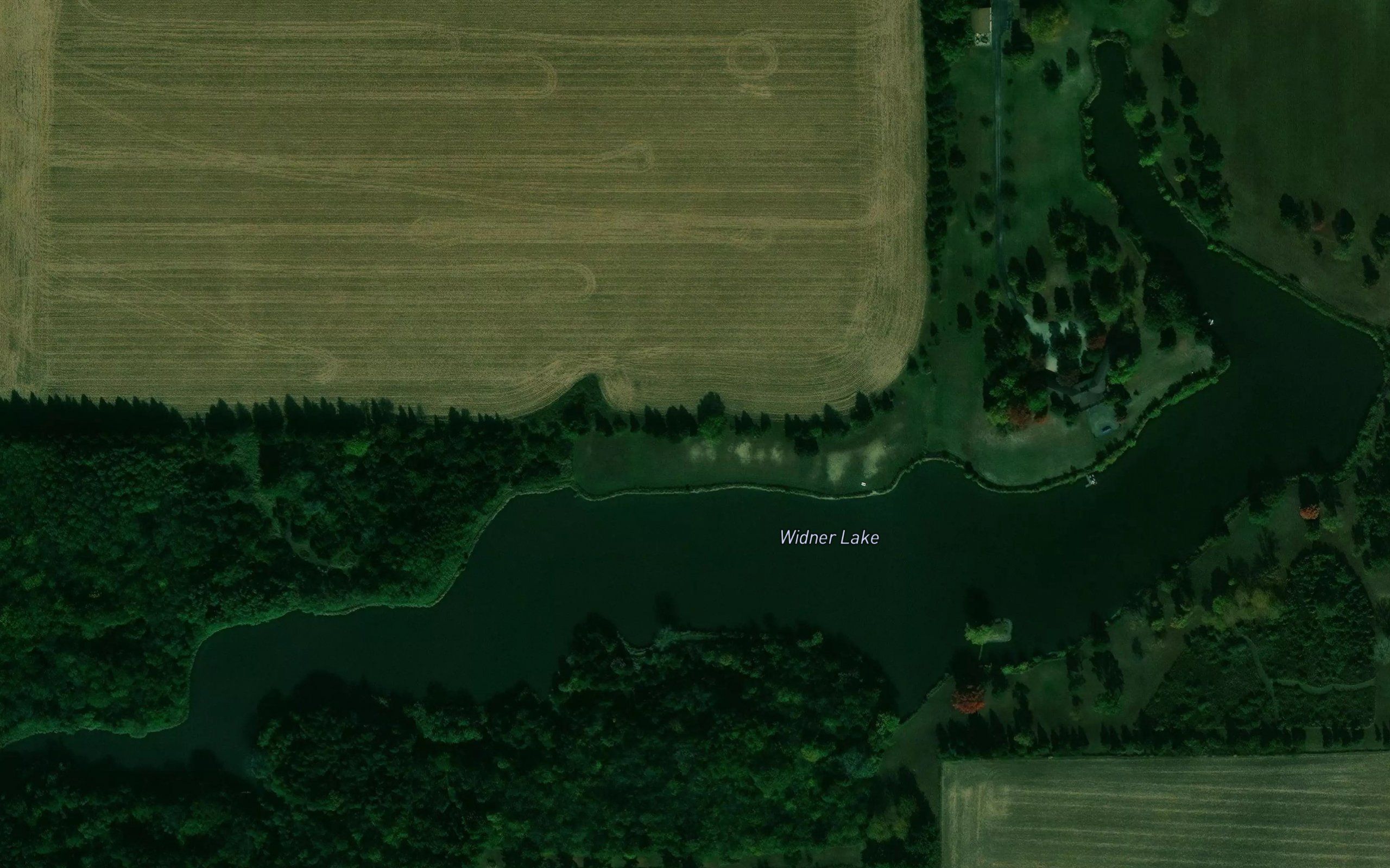 Widner Lake