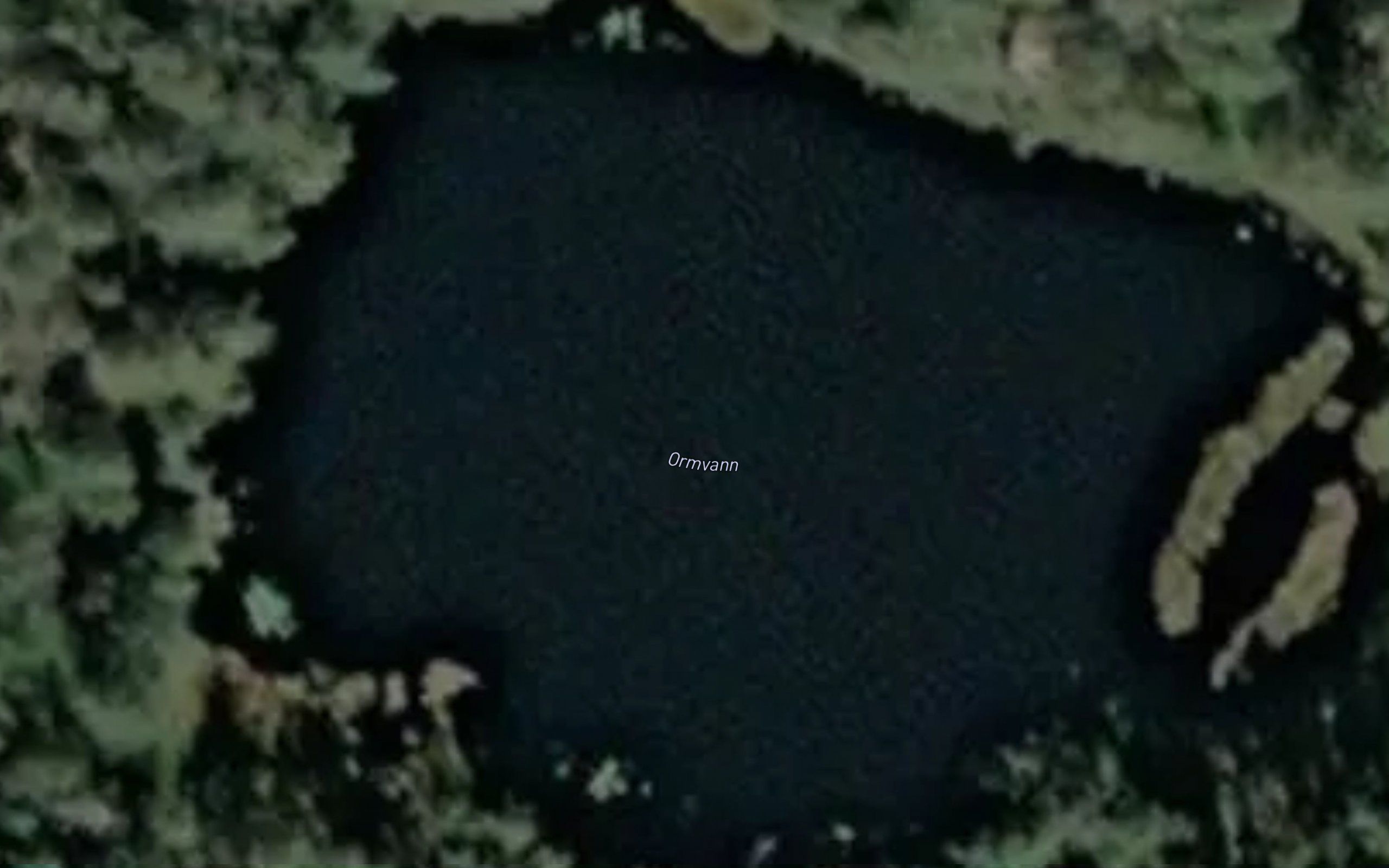 Ormvann