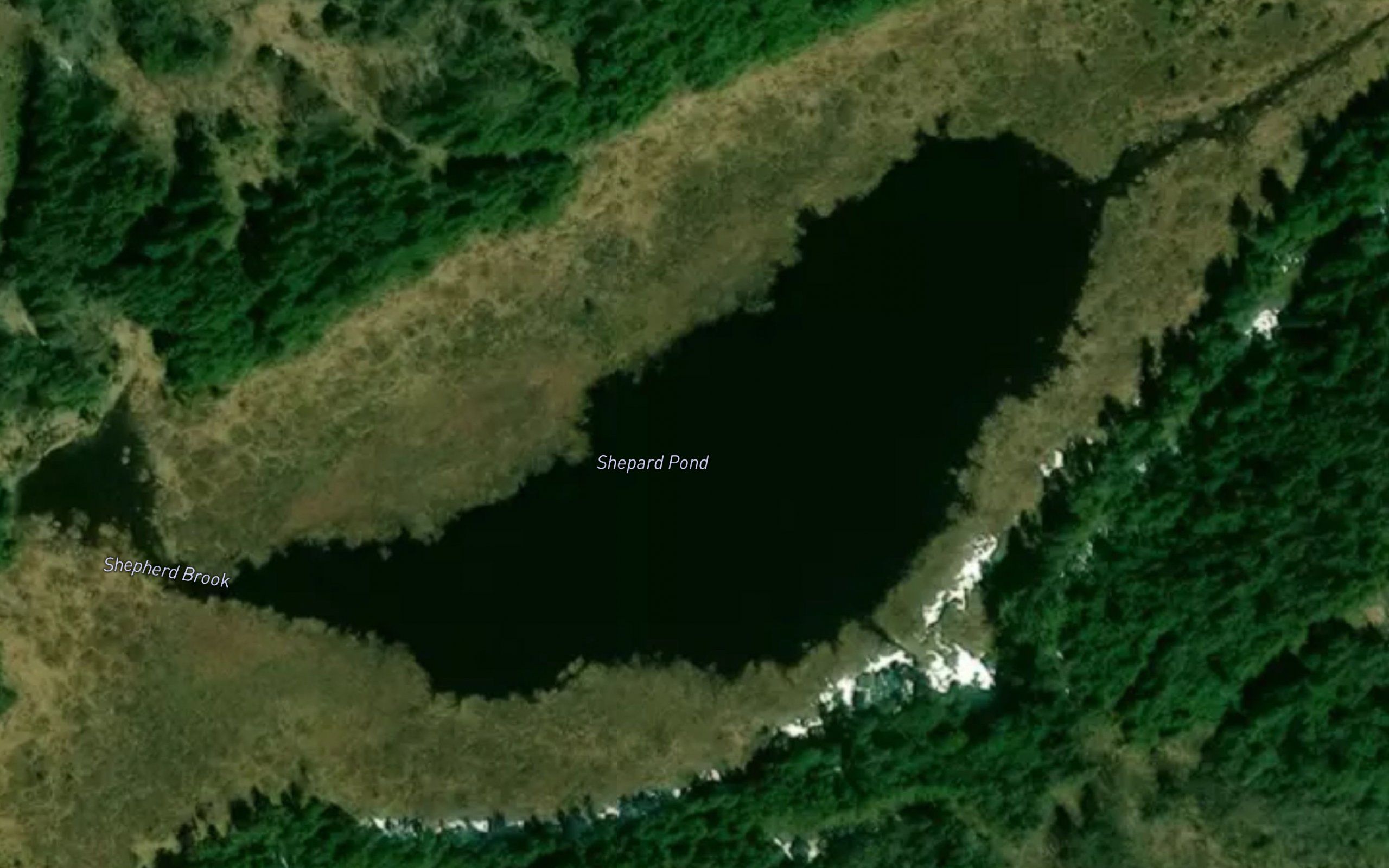 Shepherd Pond