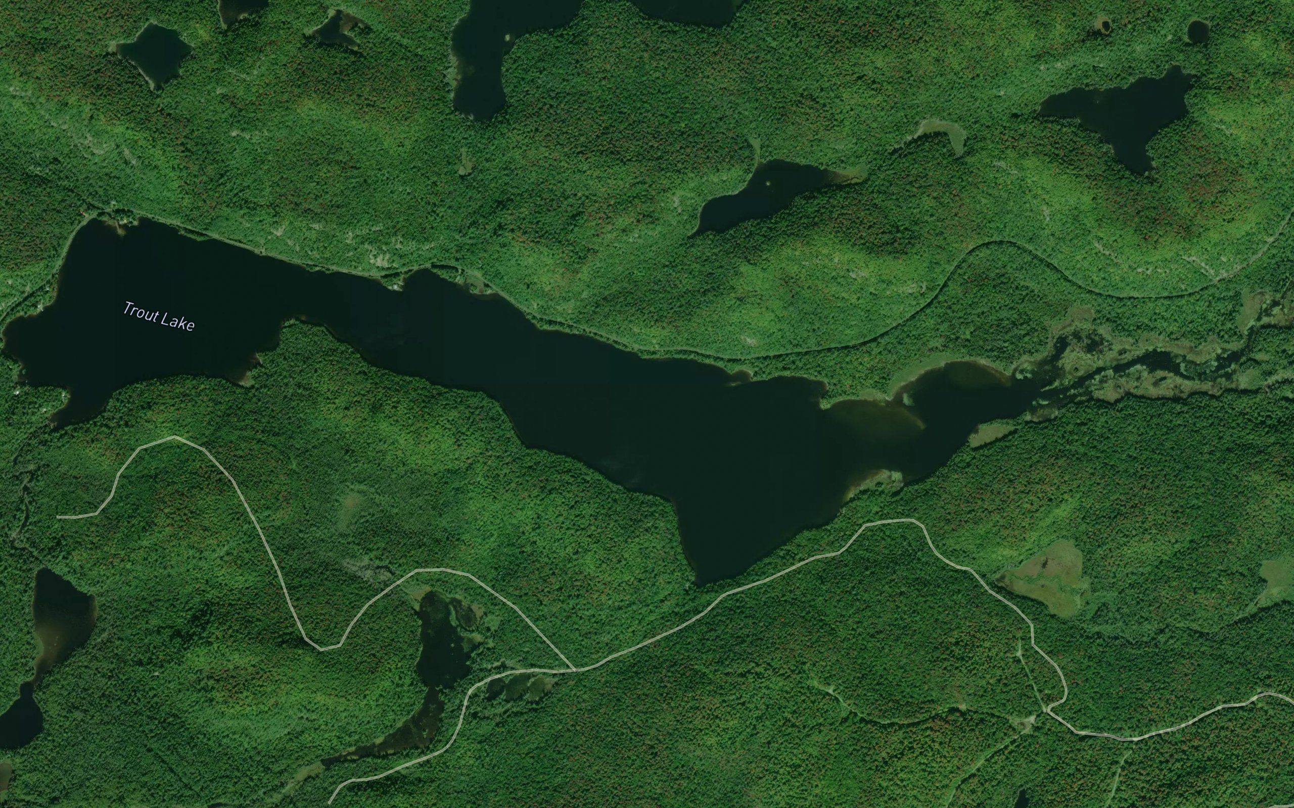 Trout Lake