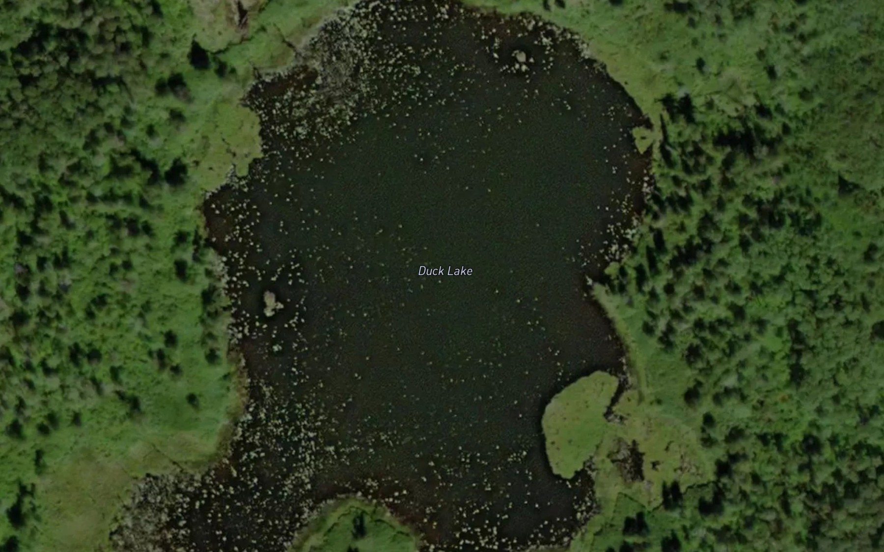 Satellite map of the Duck Lake