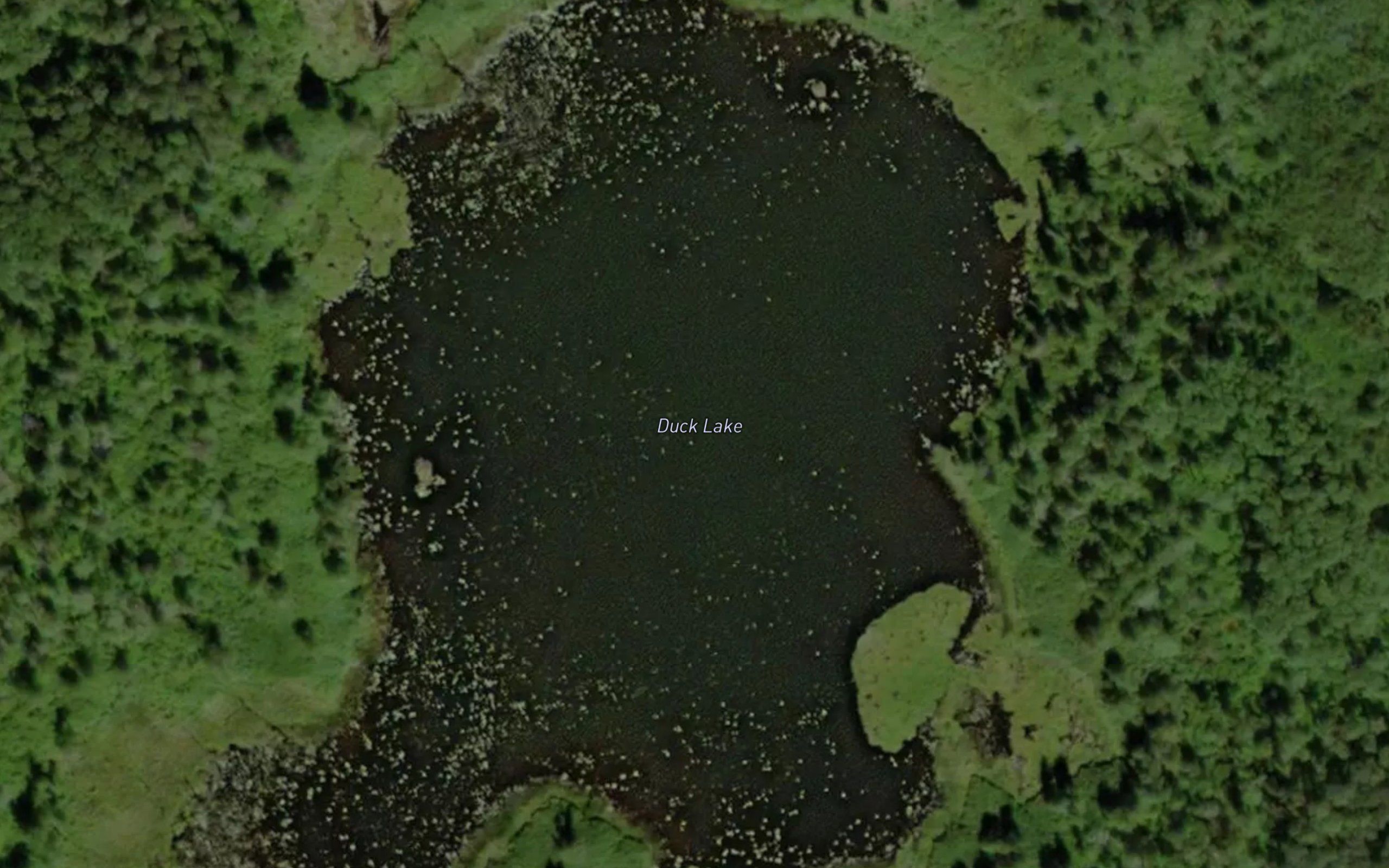 Duck Lake