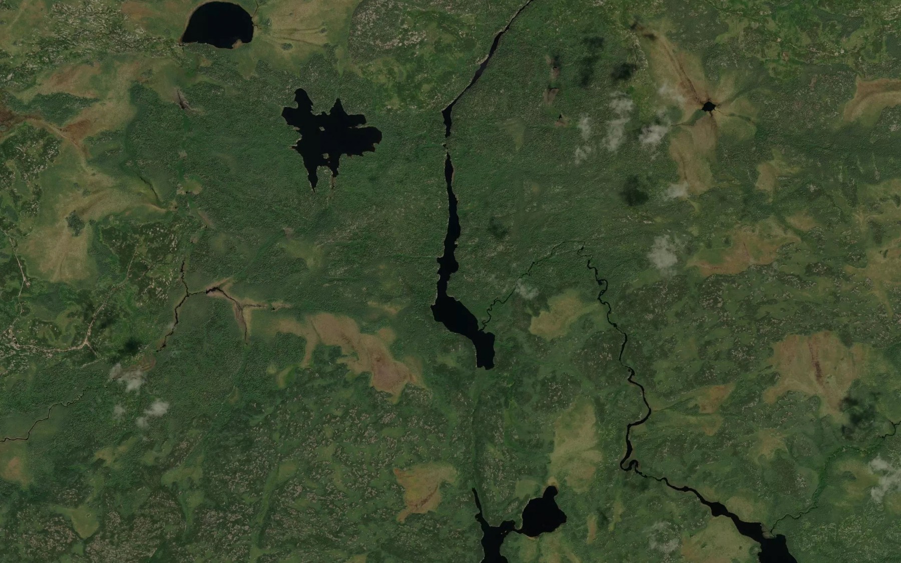 Satellite map of the Lorne Creek