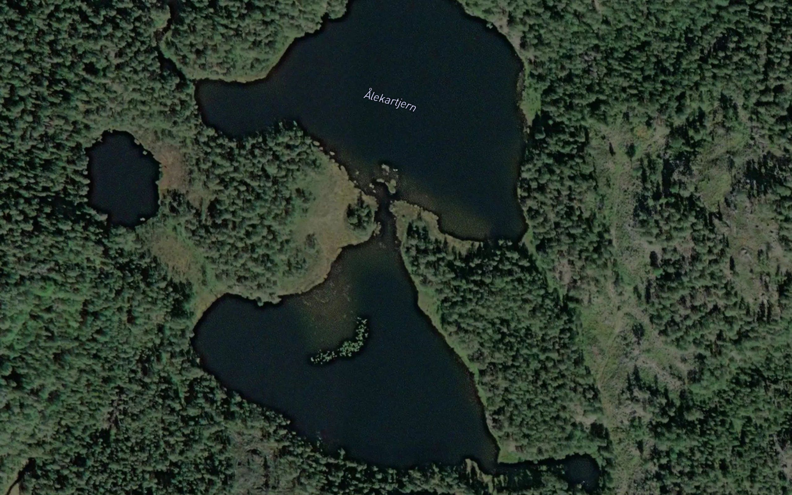 Alekartjern