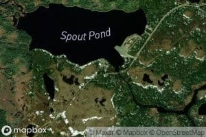 Spout Pond