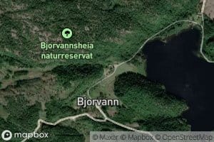 Bjorvann