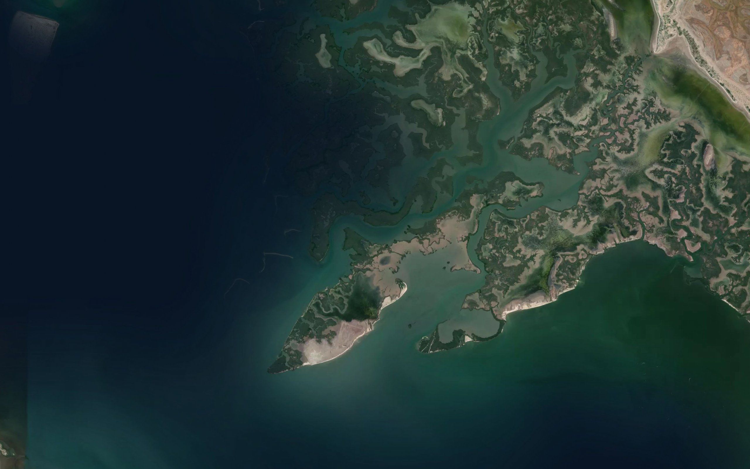 Estero el Mapache