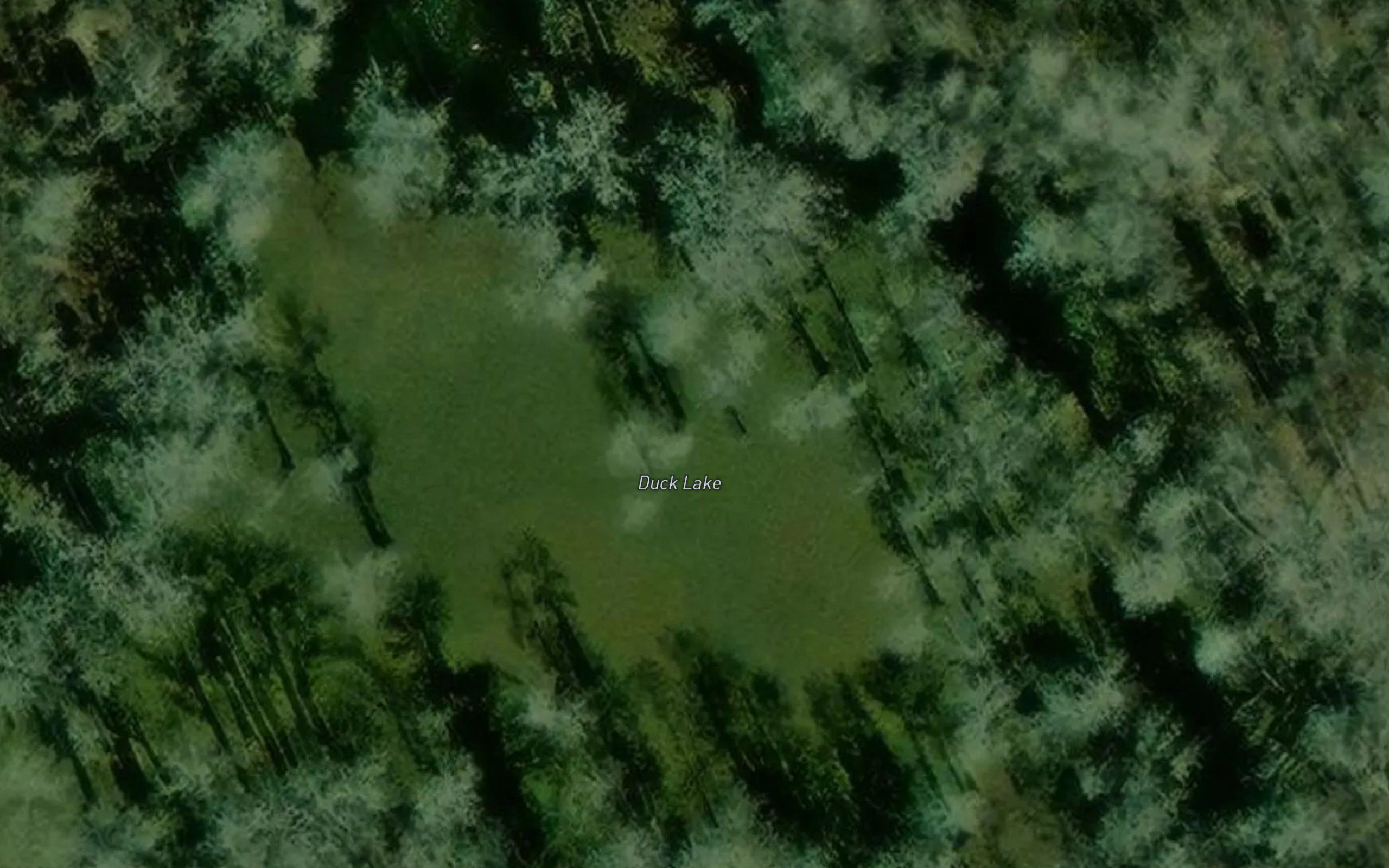 Duck Lake