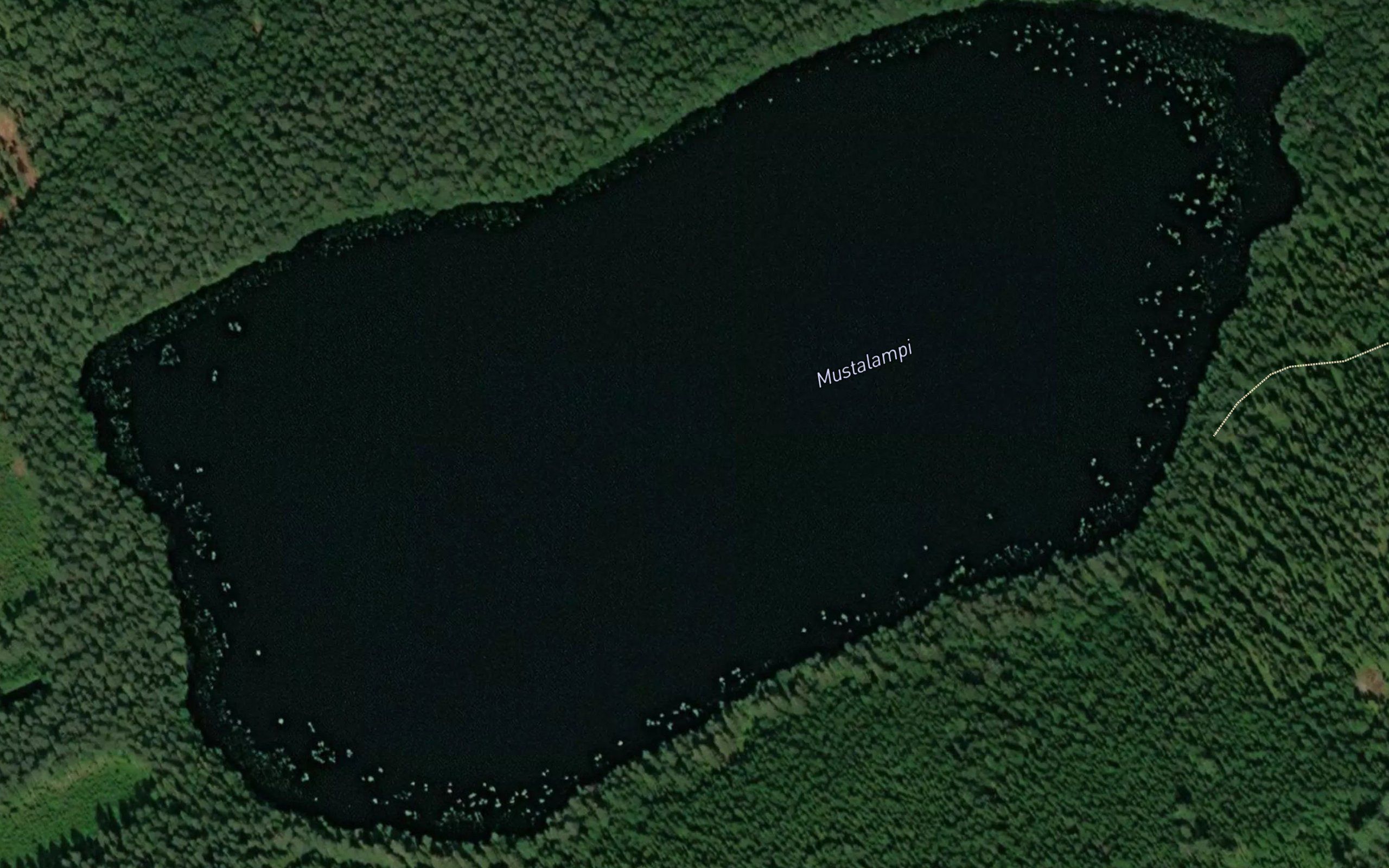 Mustalampi