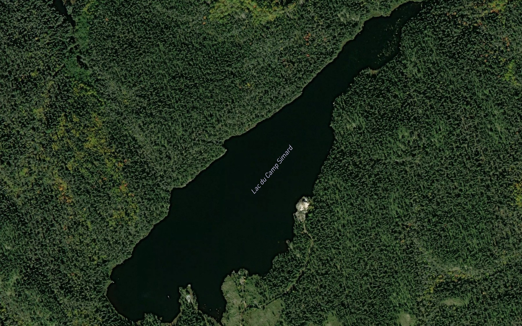 Satellite map of the Lac du Camp Simard