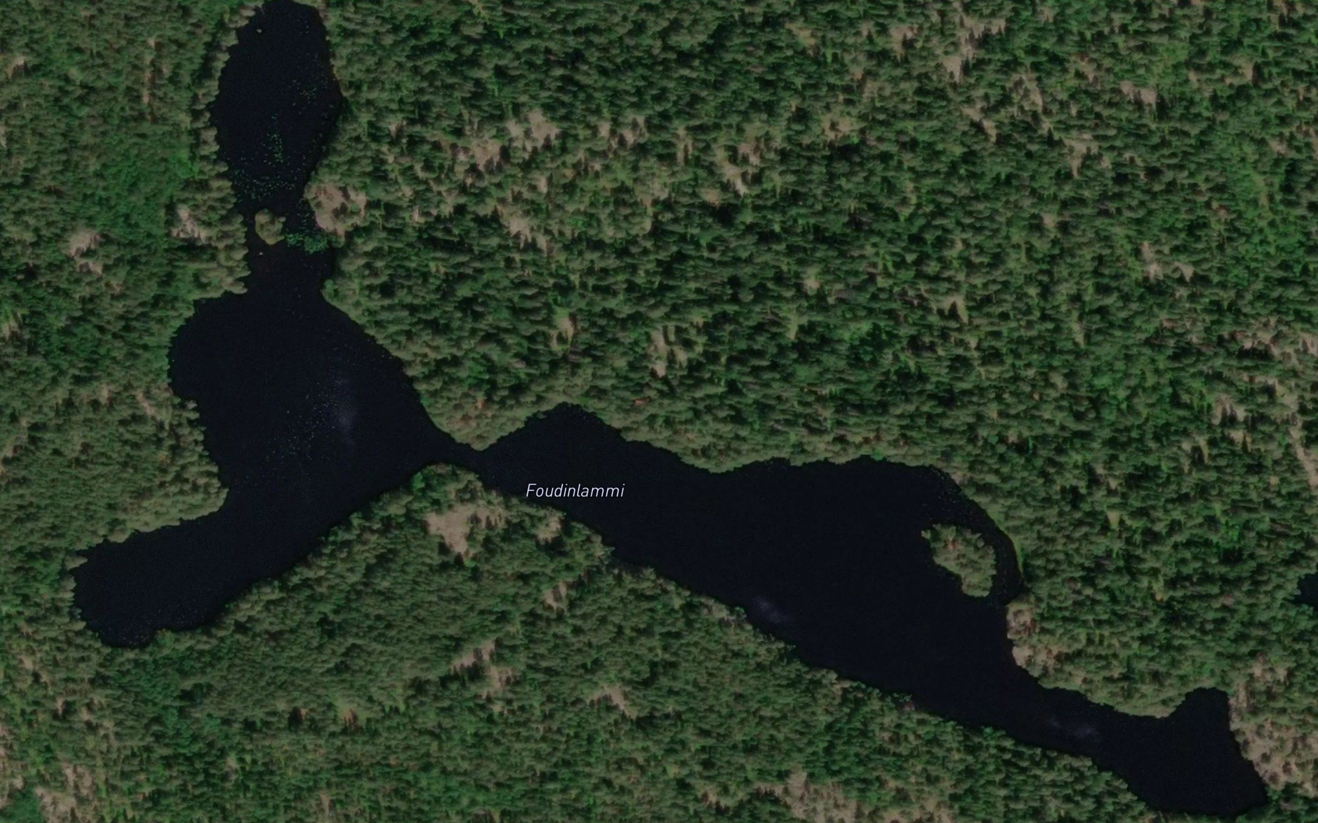Foudinlammi