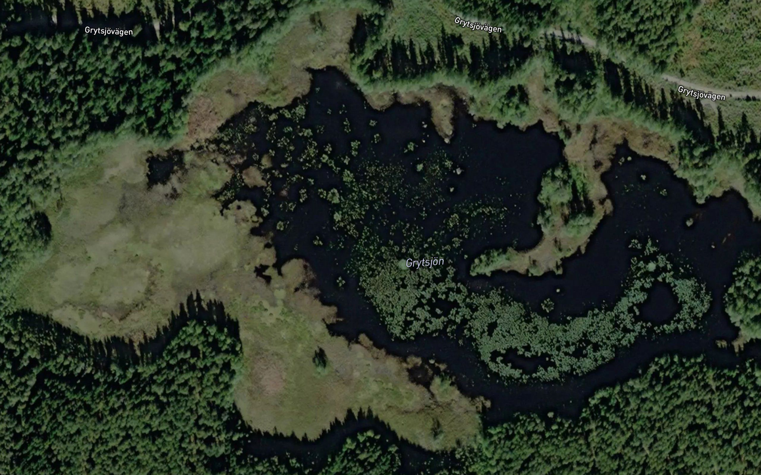 Grytsjoen