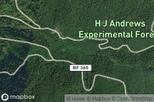 Nostoc Creek