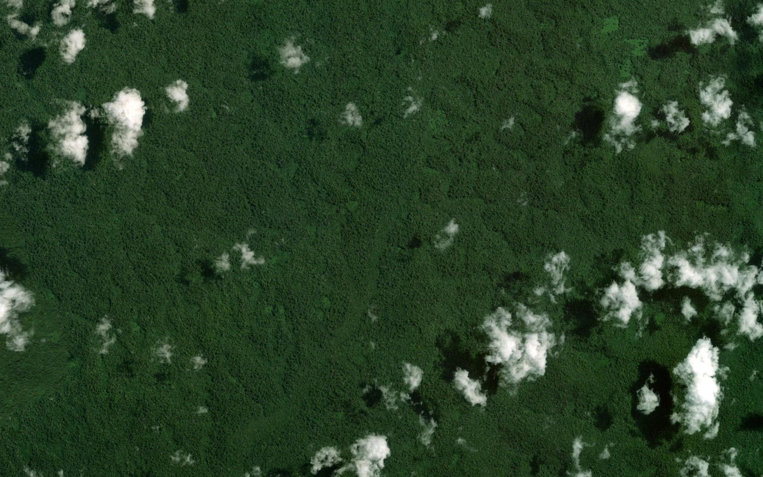 Igarape Tapiri