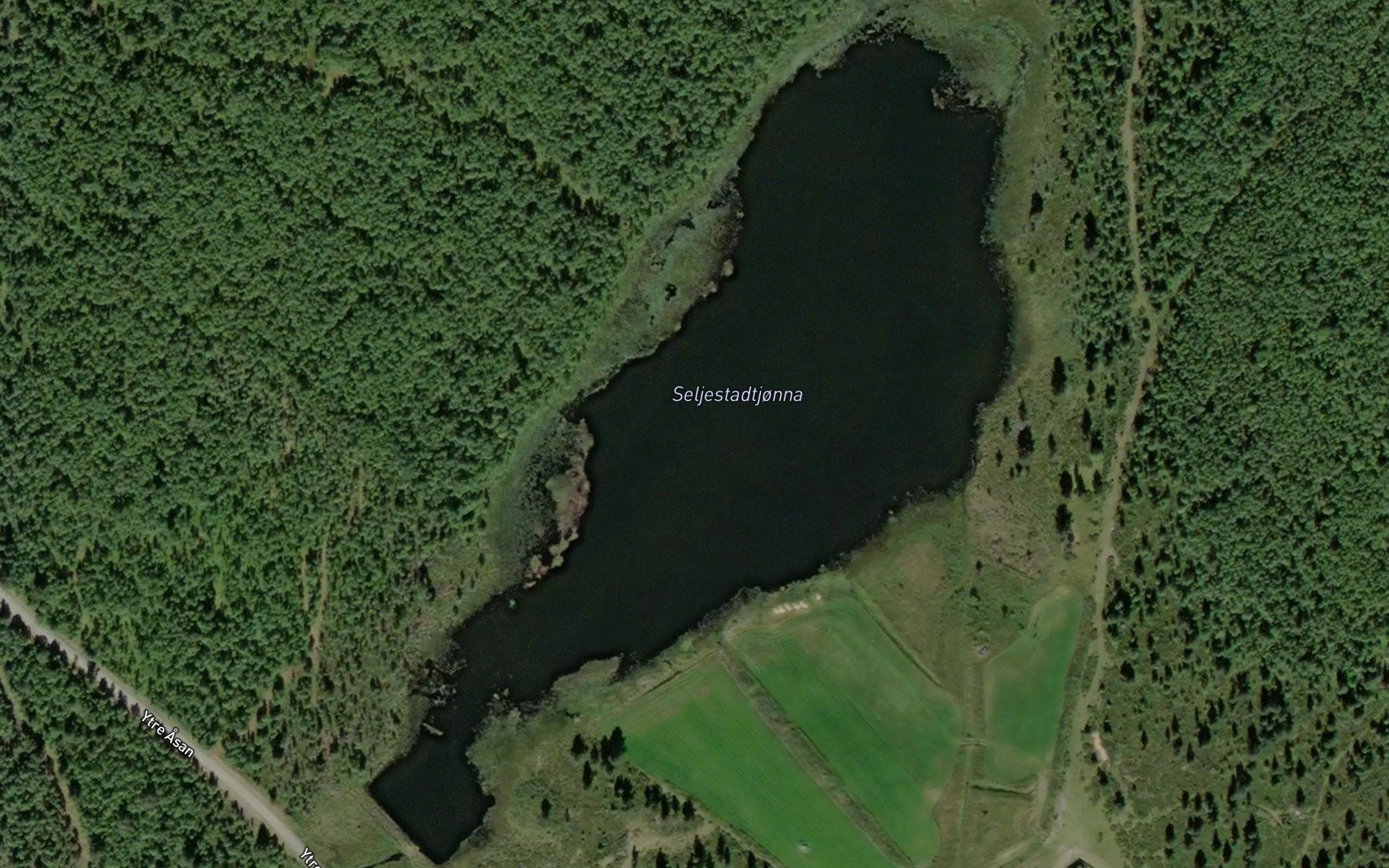 Seljestadtjorna