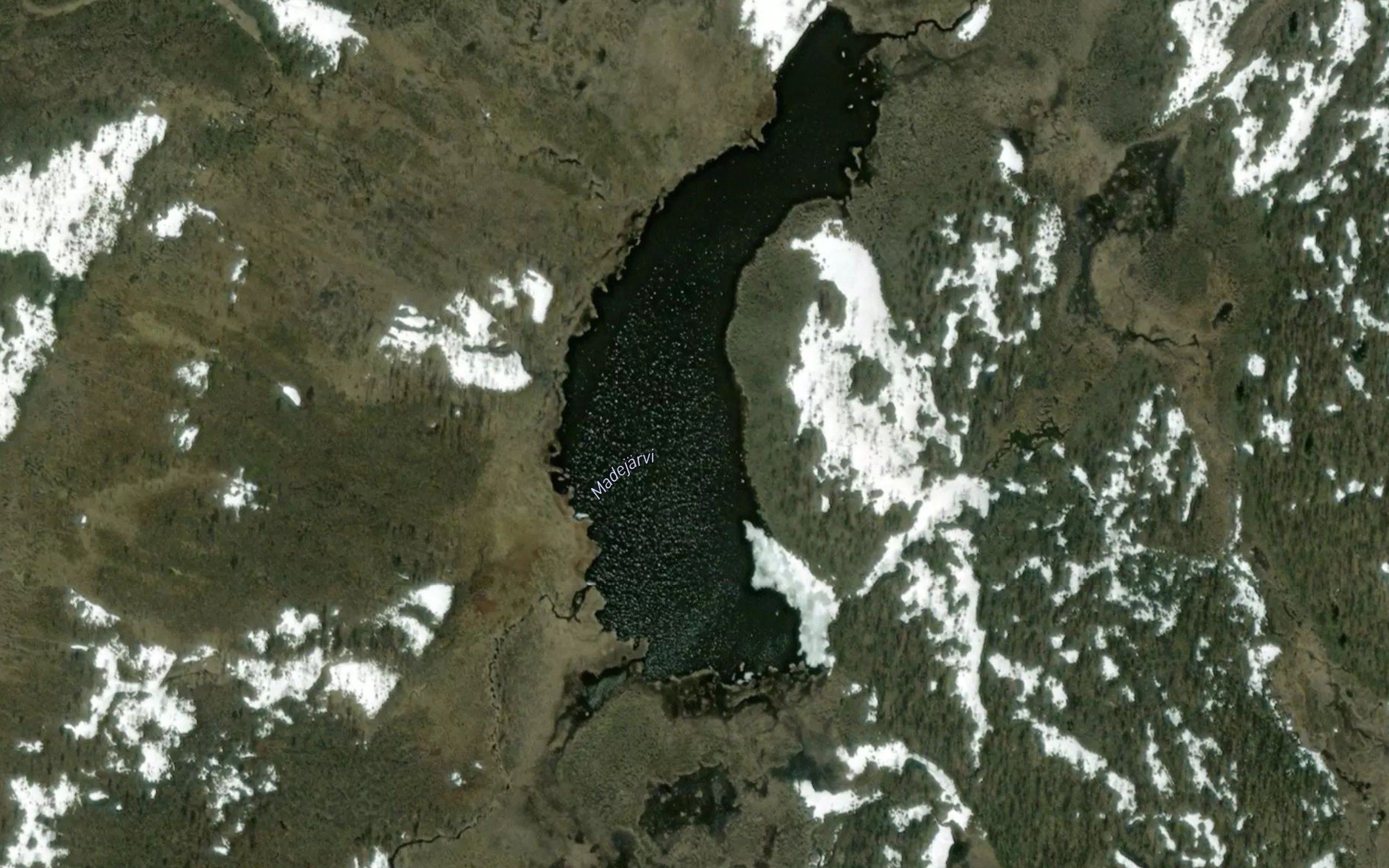 Madejarvi