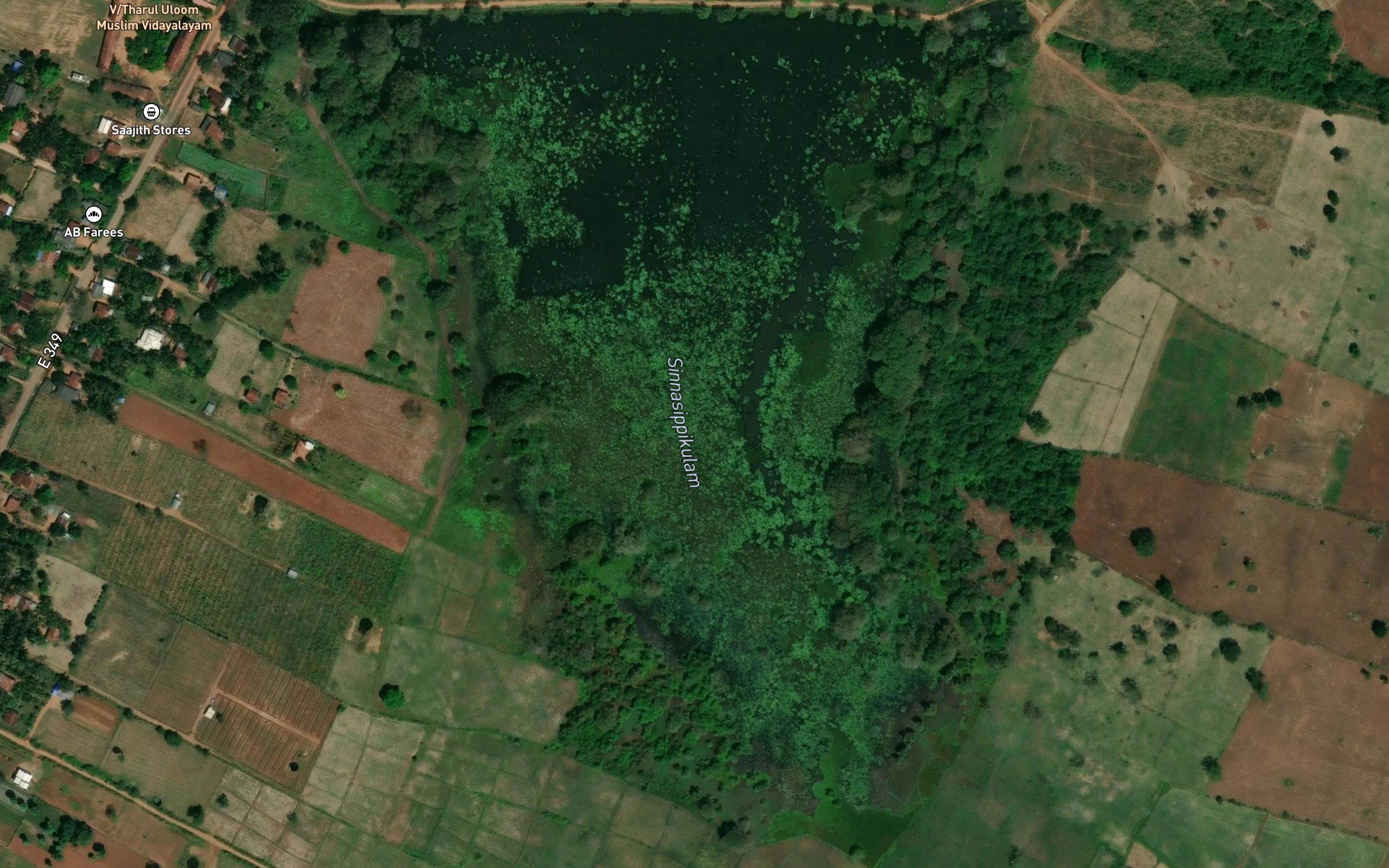 Chinnachippi Kulam