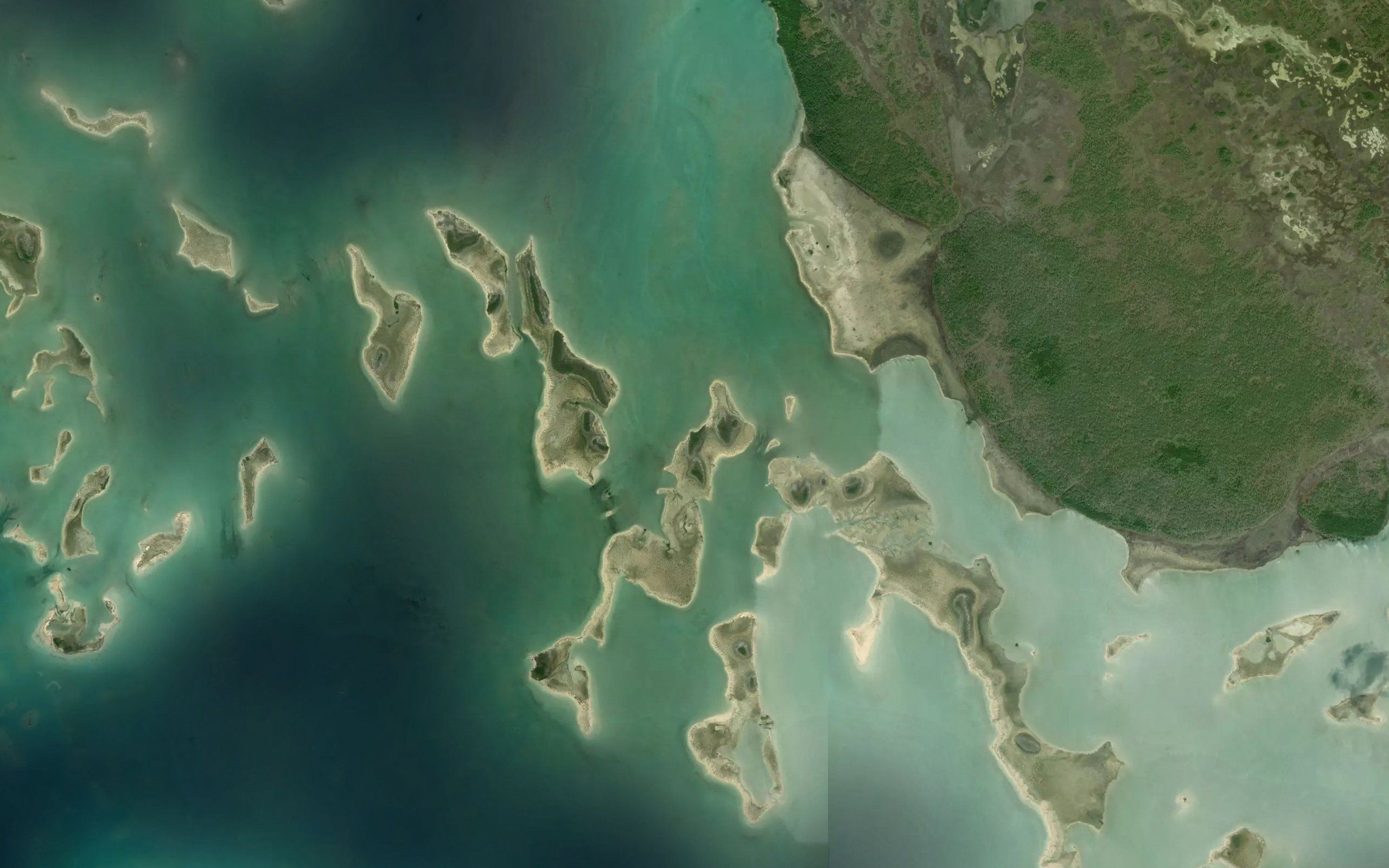Mangrove Creek