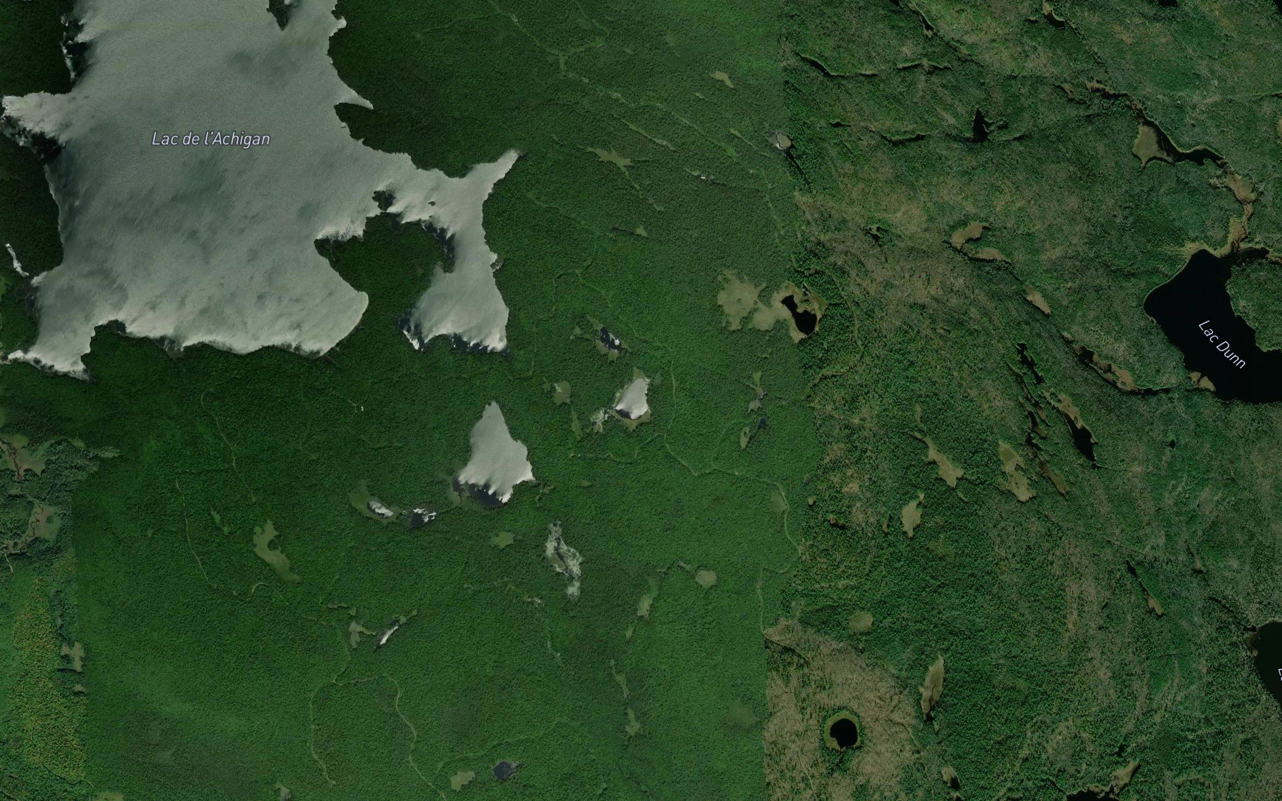 Lac Kelly