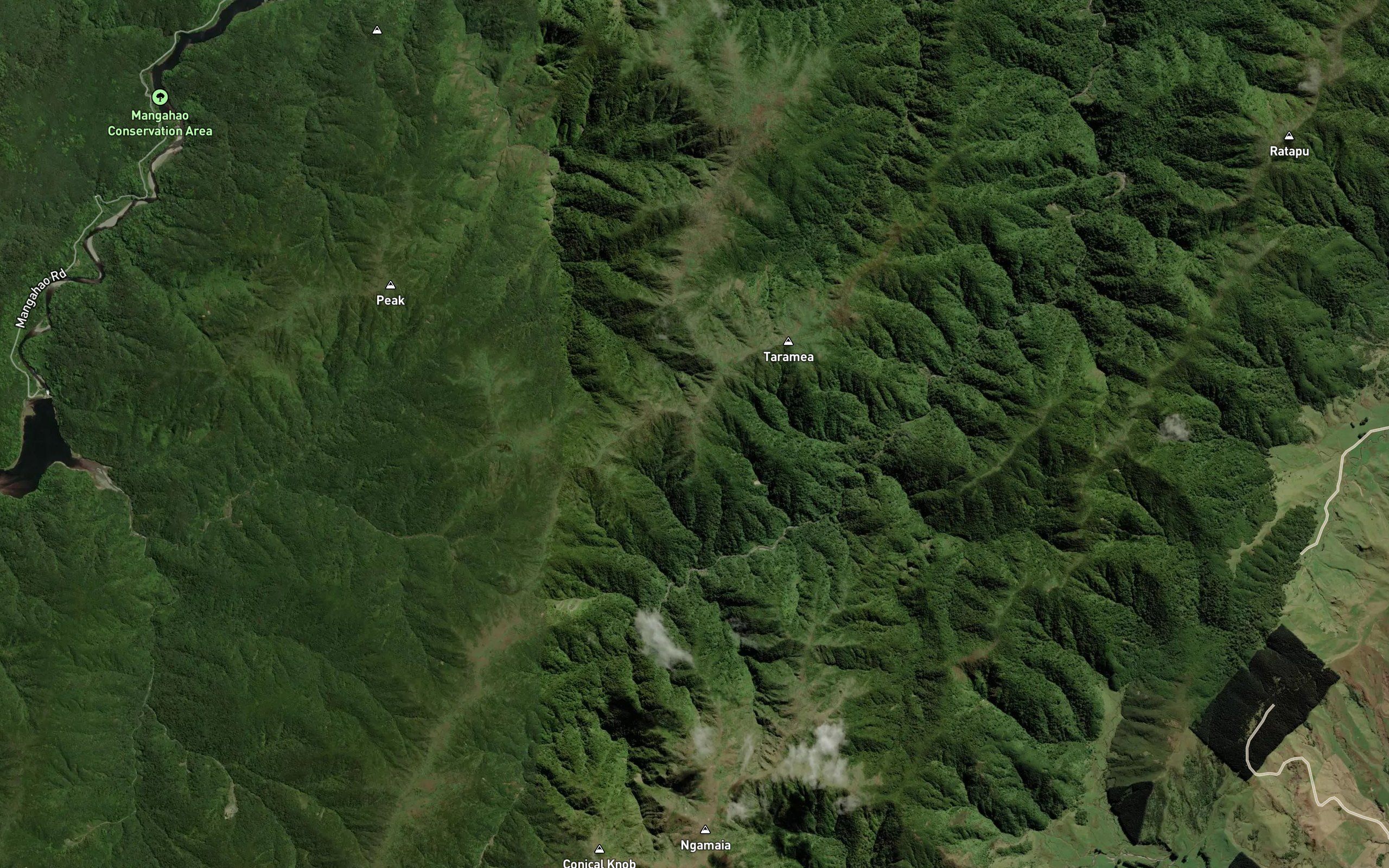 Ngapuketurua Stream
