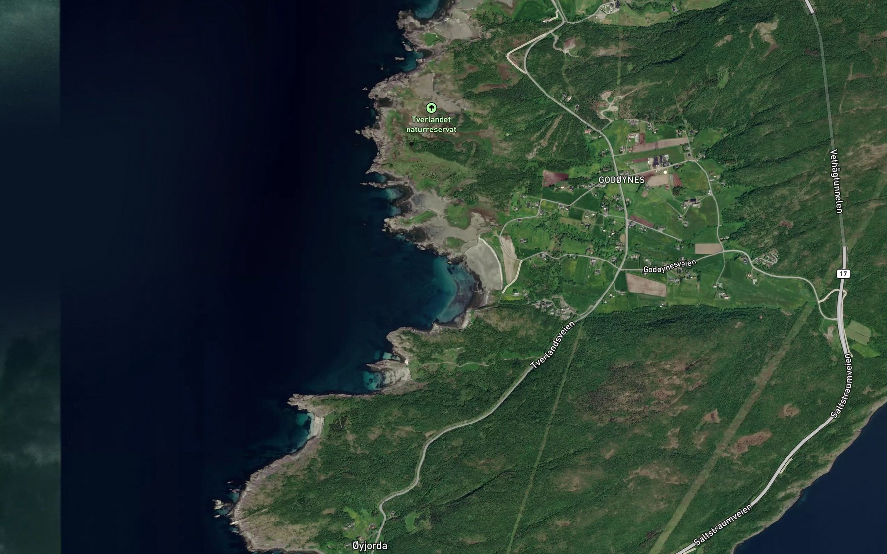 Satellite map of the Godoynesvika