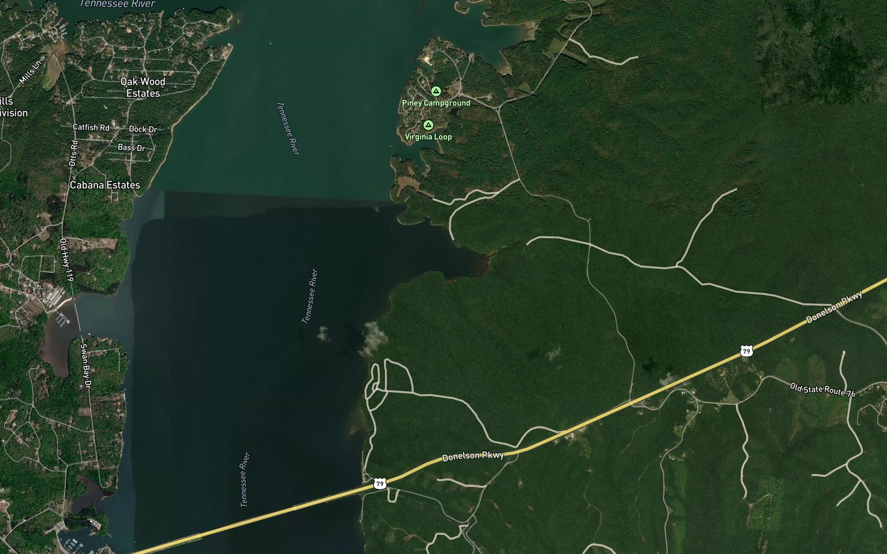 Satellite map of the Mint Spring