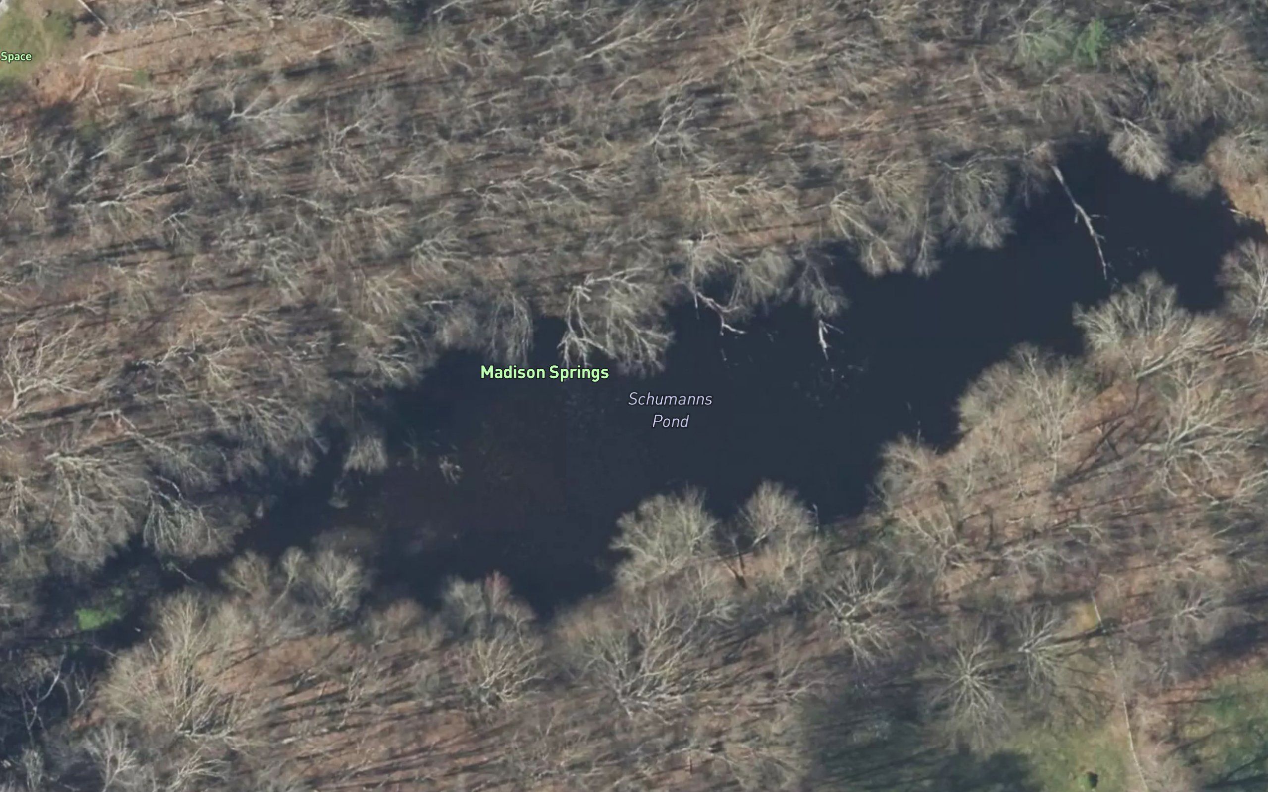 Schumanns Pond