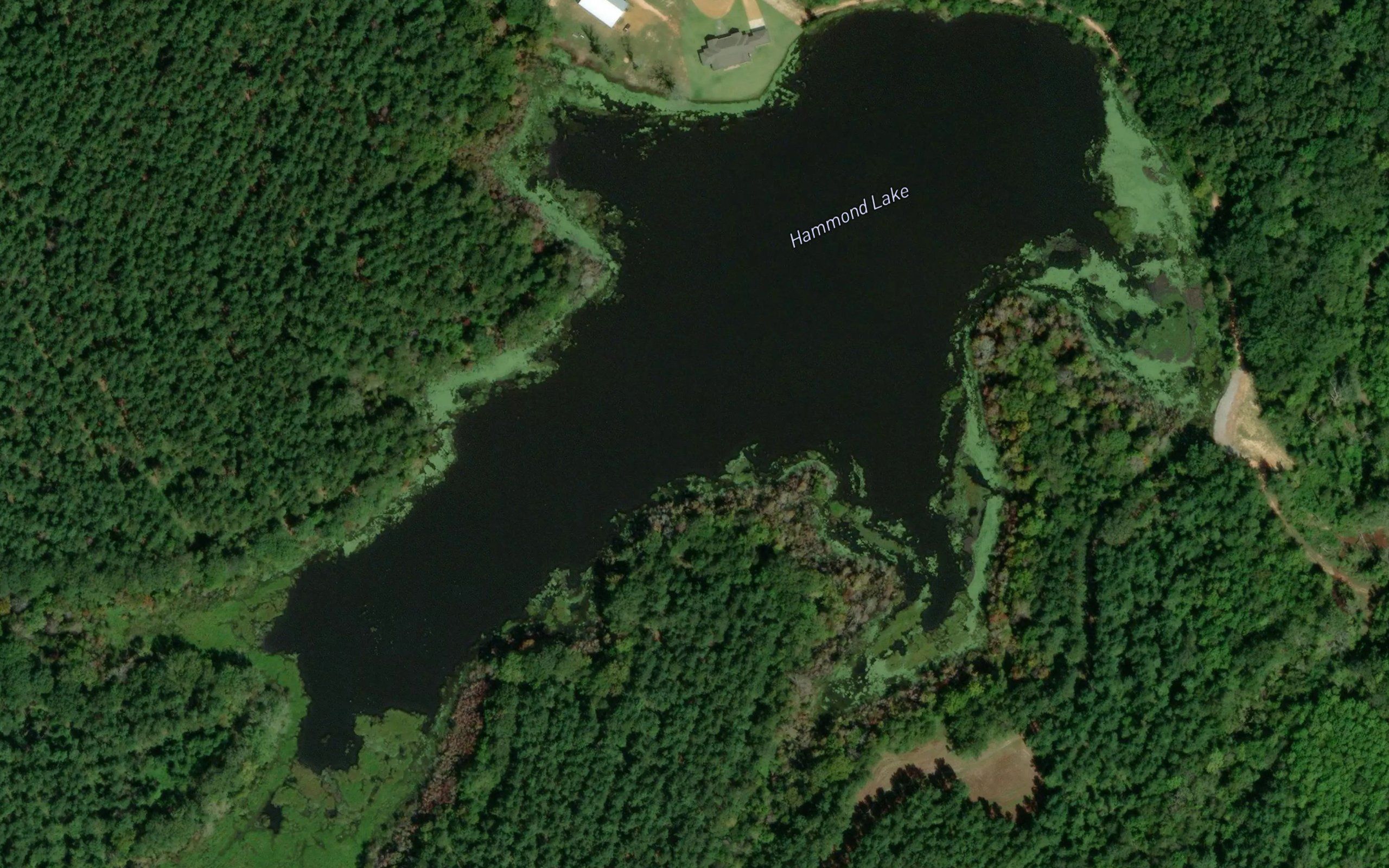 Hammond Lake