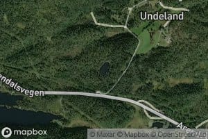 Skjebbetjonn