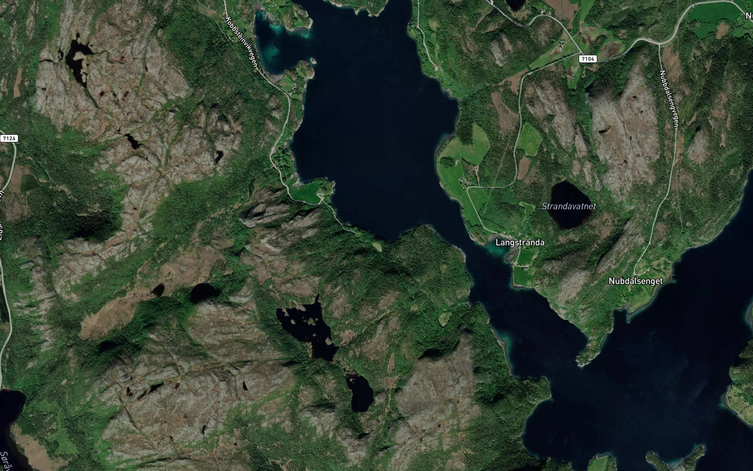 Kobbsteinvika