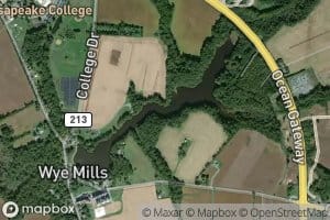 Wye Mills Community Lake