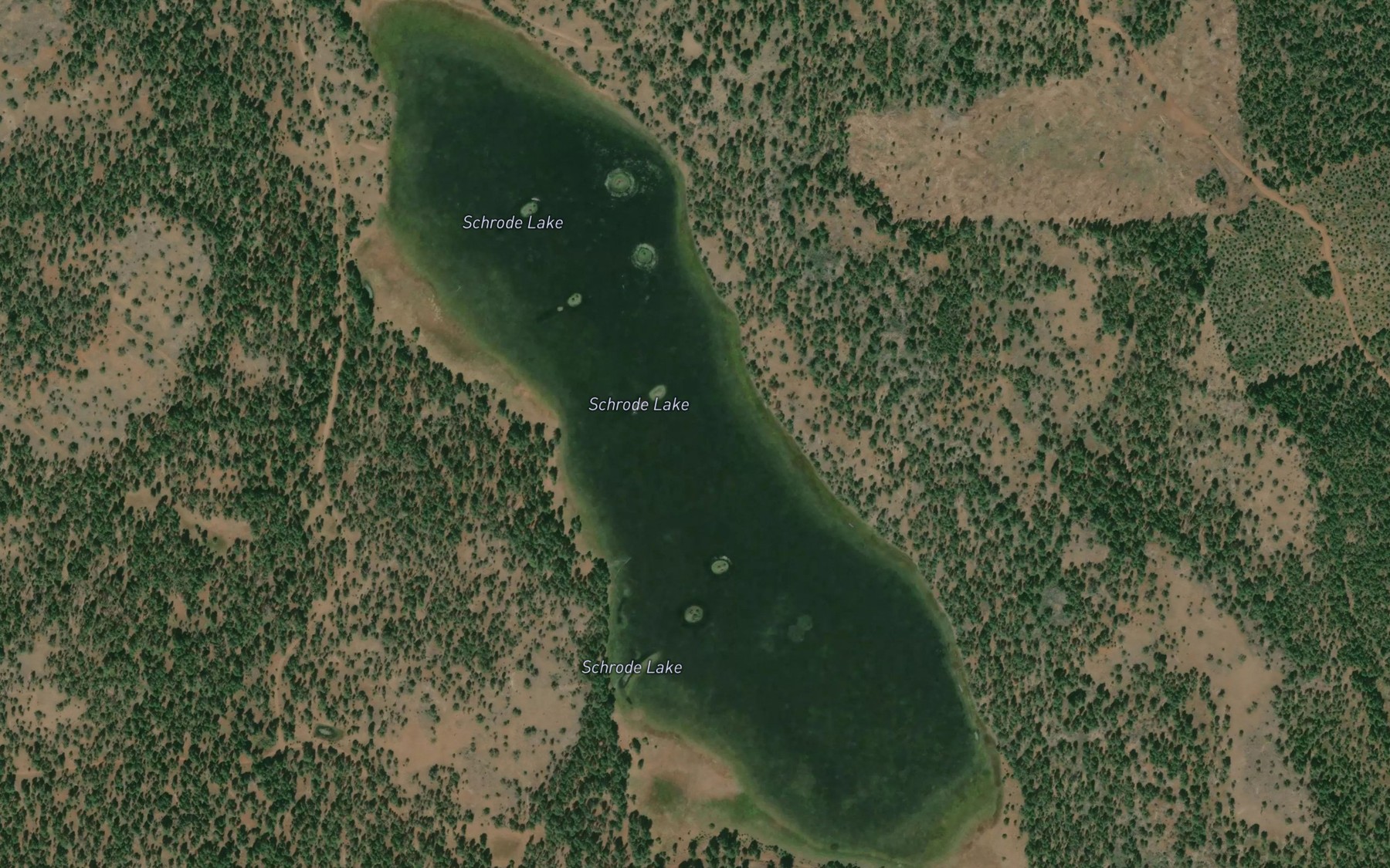 Satellite map of the Schrode Lake