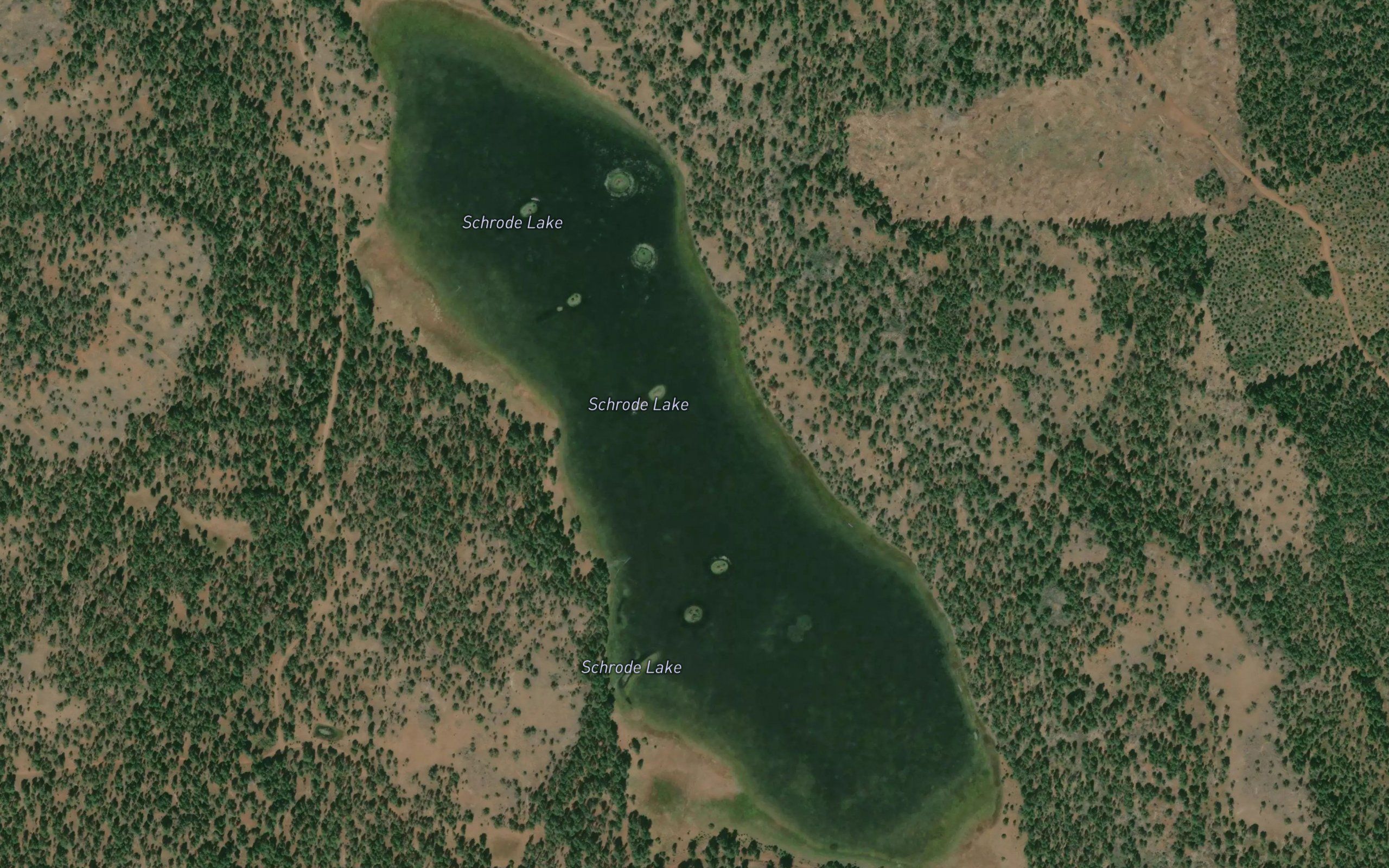 Schrode Lake